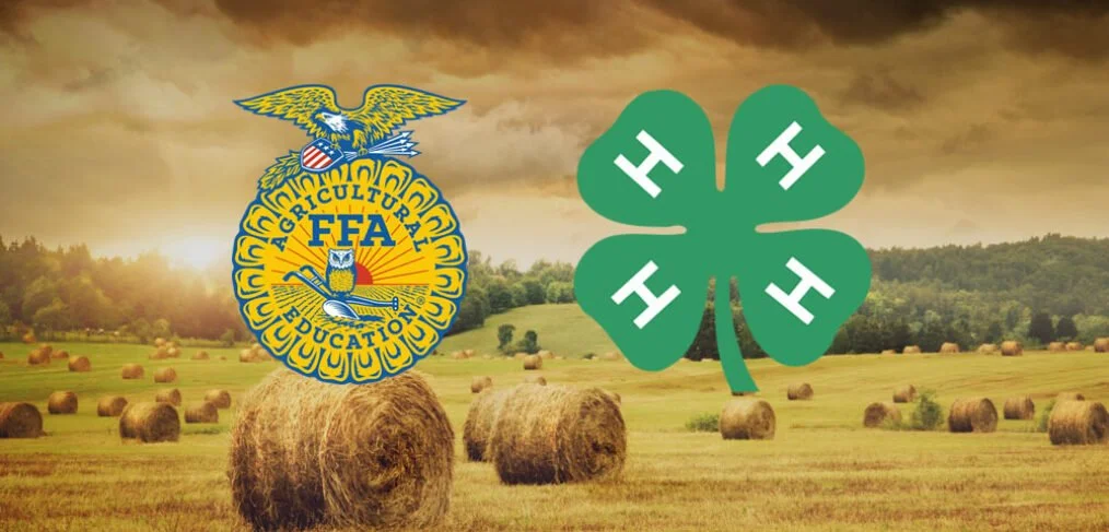4H_FFA.jpg