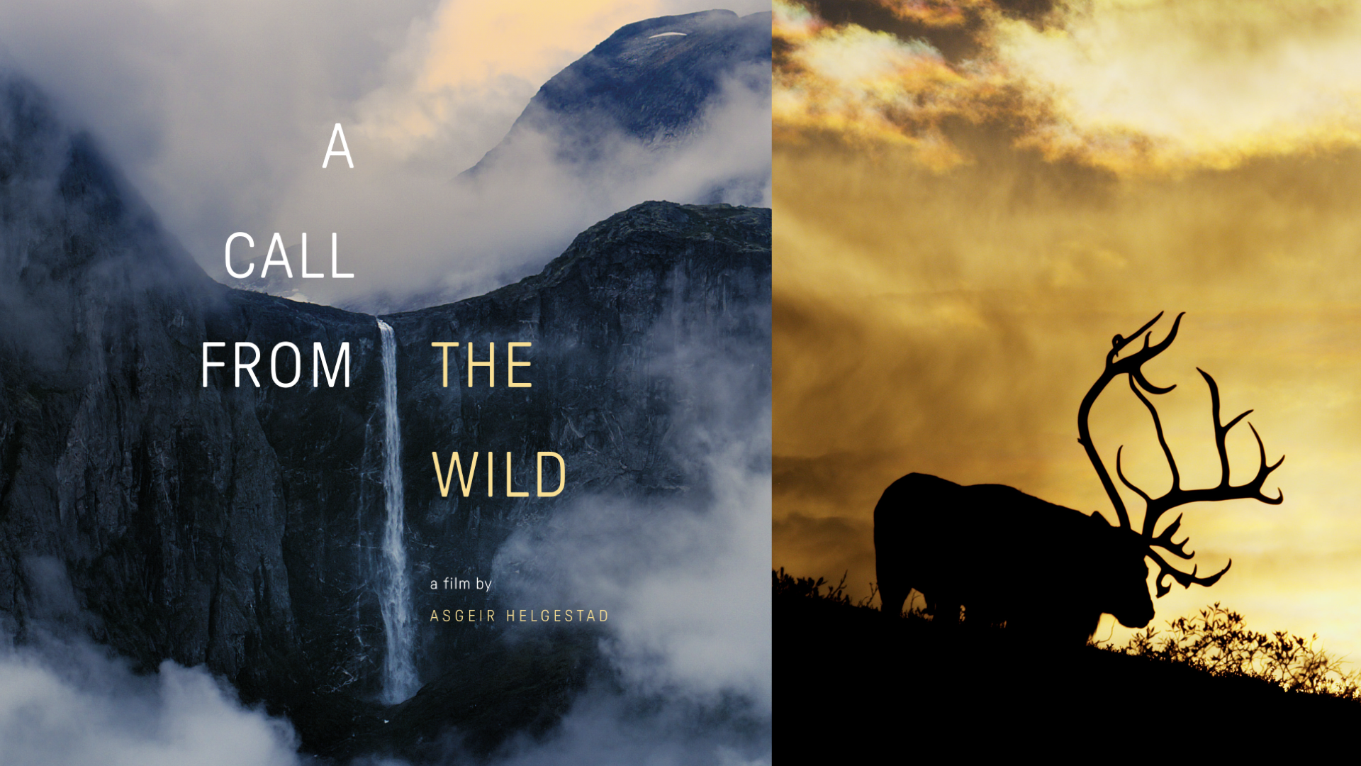 A Call From The Wild / movie