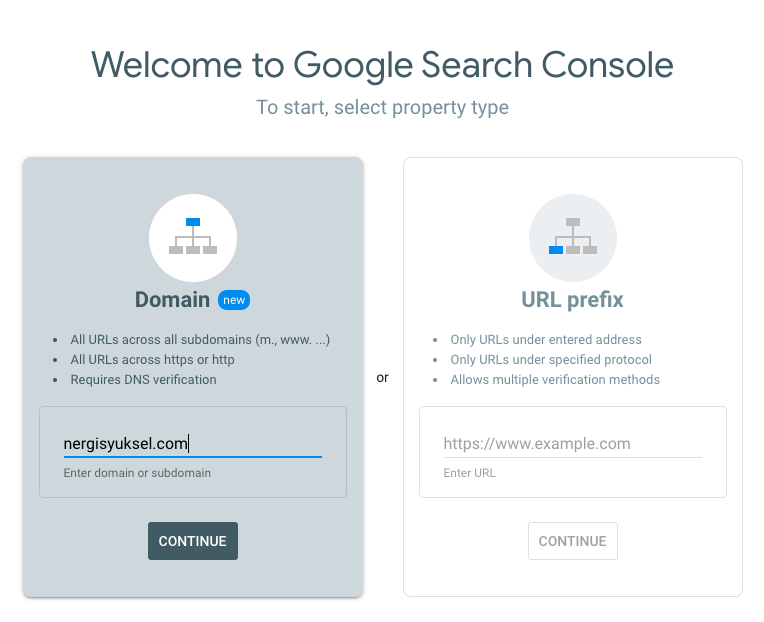 Screenshot of Google Search Console set up page showing domain registration option