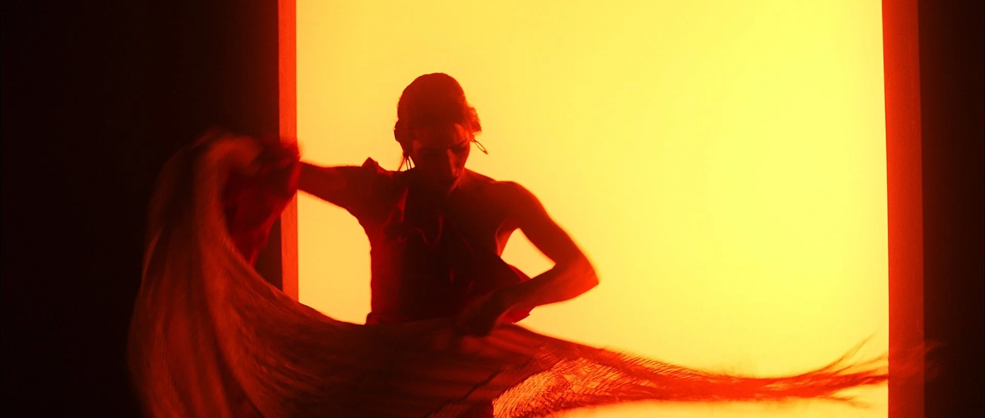 Timeline 5_01_00_18_08.jpg