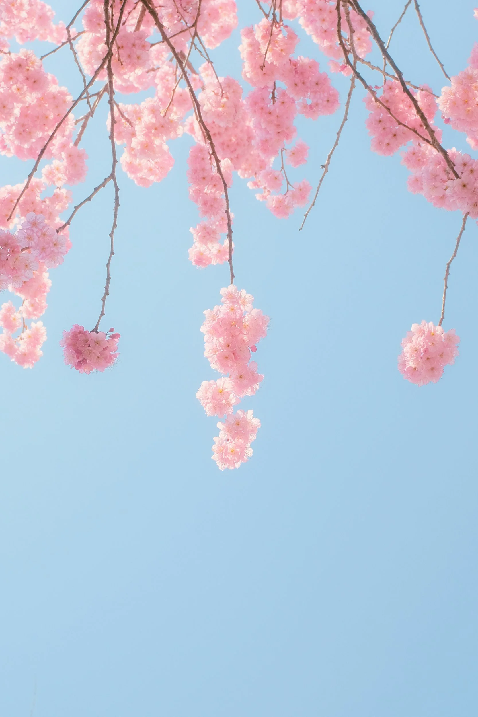 unsplash-image-RlxP6WGmfP0.jpg