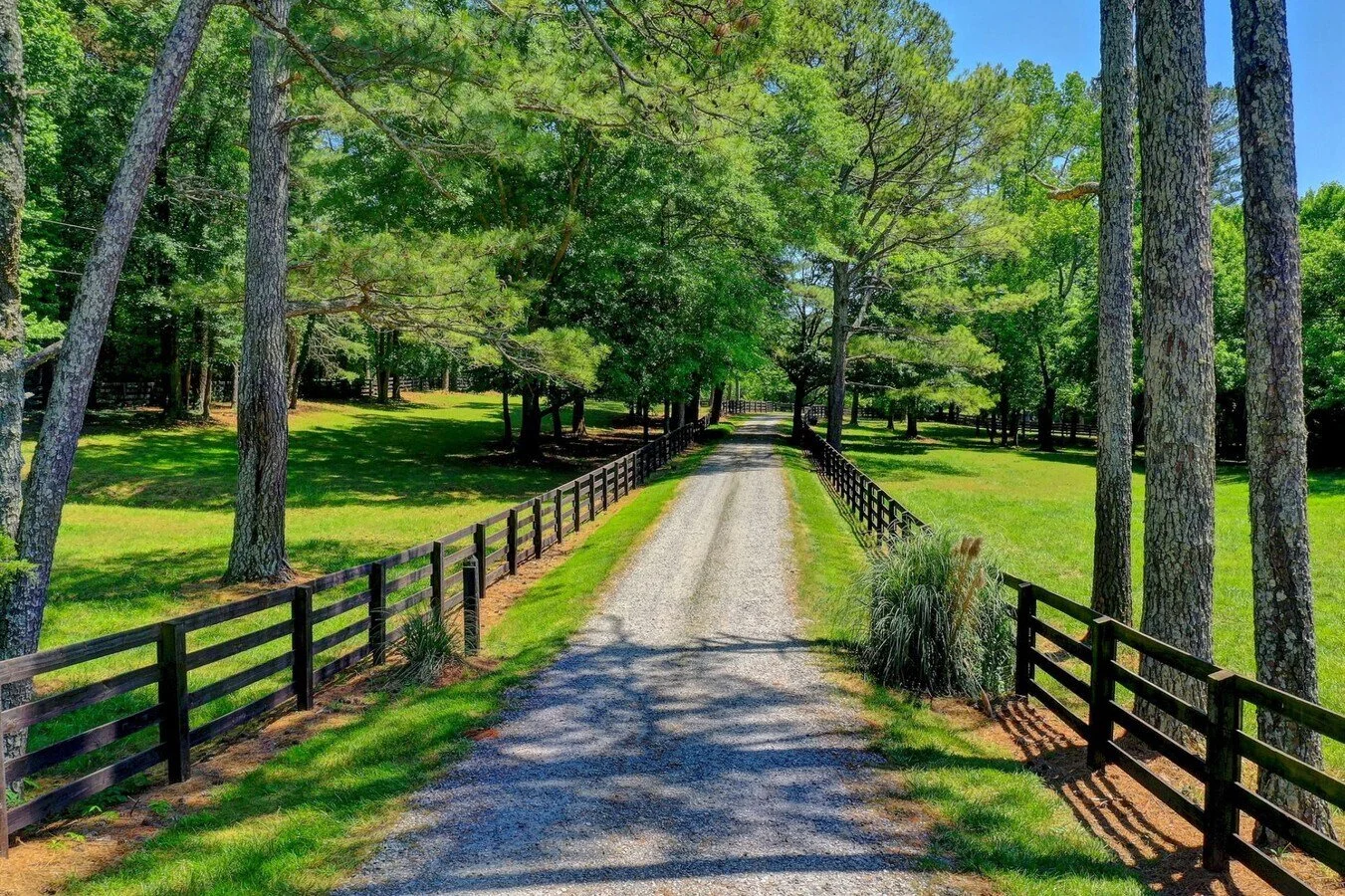 A gravel driveway lined with black wooden fences on both sides, surrounded by green grass and tall trees in a park or rural area on a sunny day.