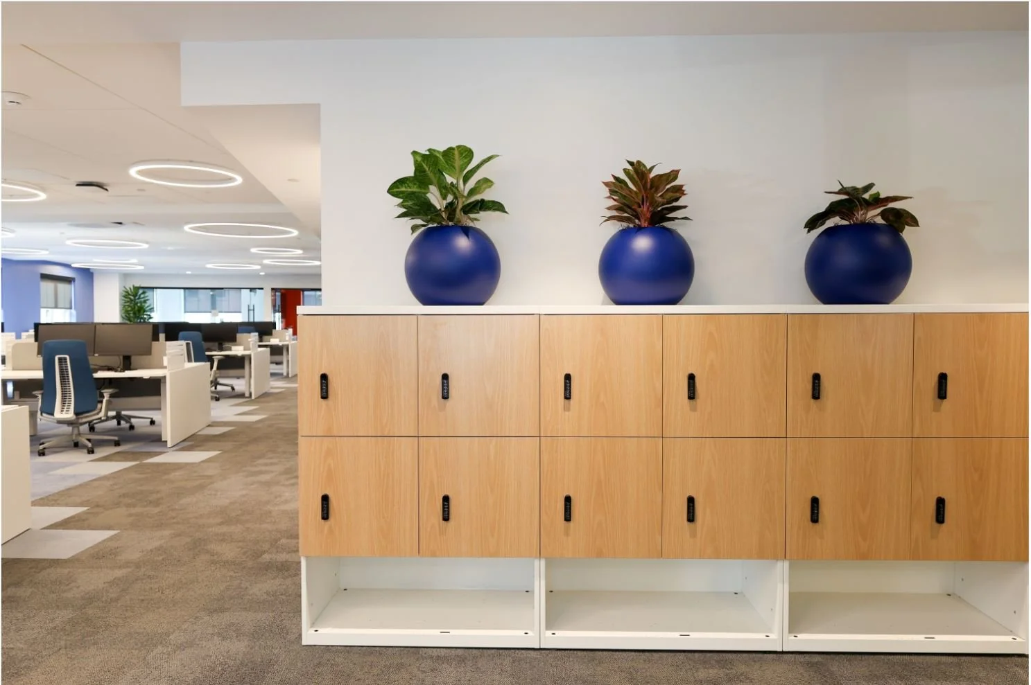 Lockers 1.JPG