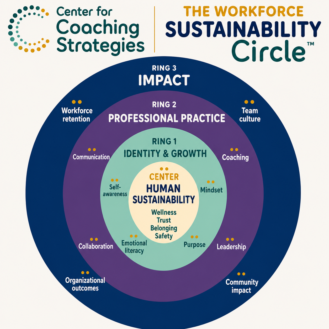 Center for Coaching Strategies' The Workforce Sustainability Circle'