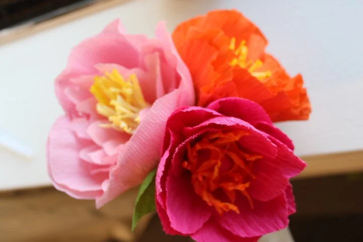 Craft Club Night: Crepe Paper Flowers
