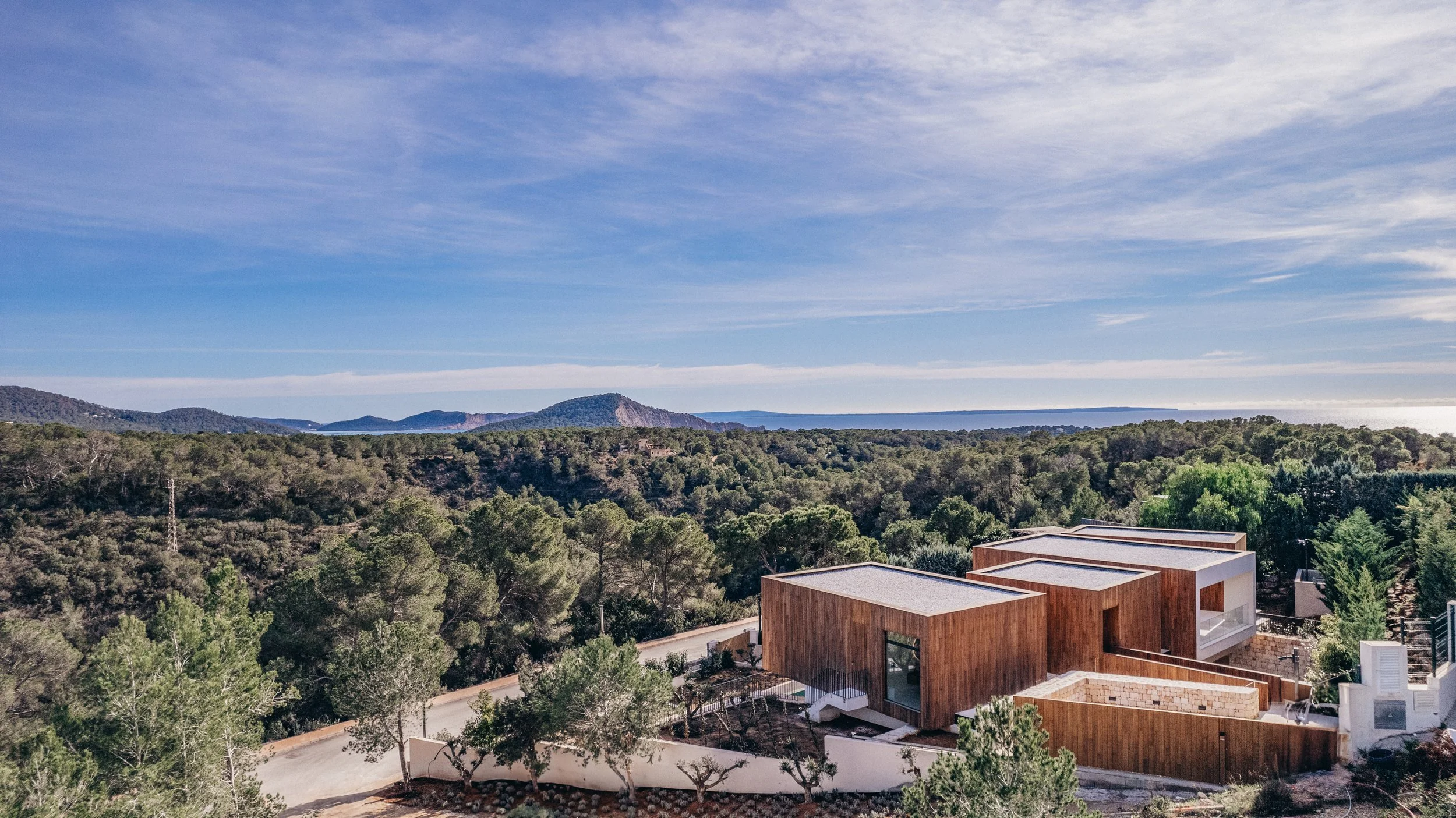 Zoom - 01-2025-0089.jpg