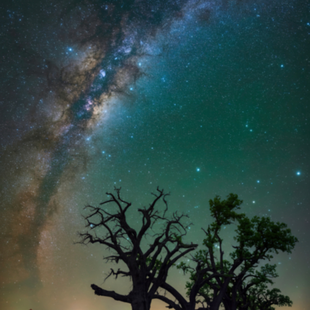 Attendee Registration.png