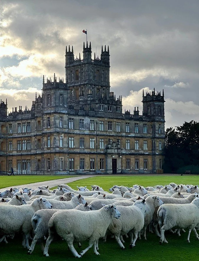 A large historic castle with multiple towers and a flag on top, surrounded by a wide green lawn, with a flock of white sheep grazing in the foreground under cloudy skies.