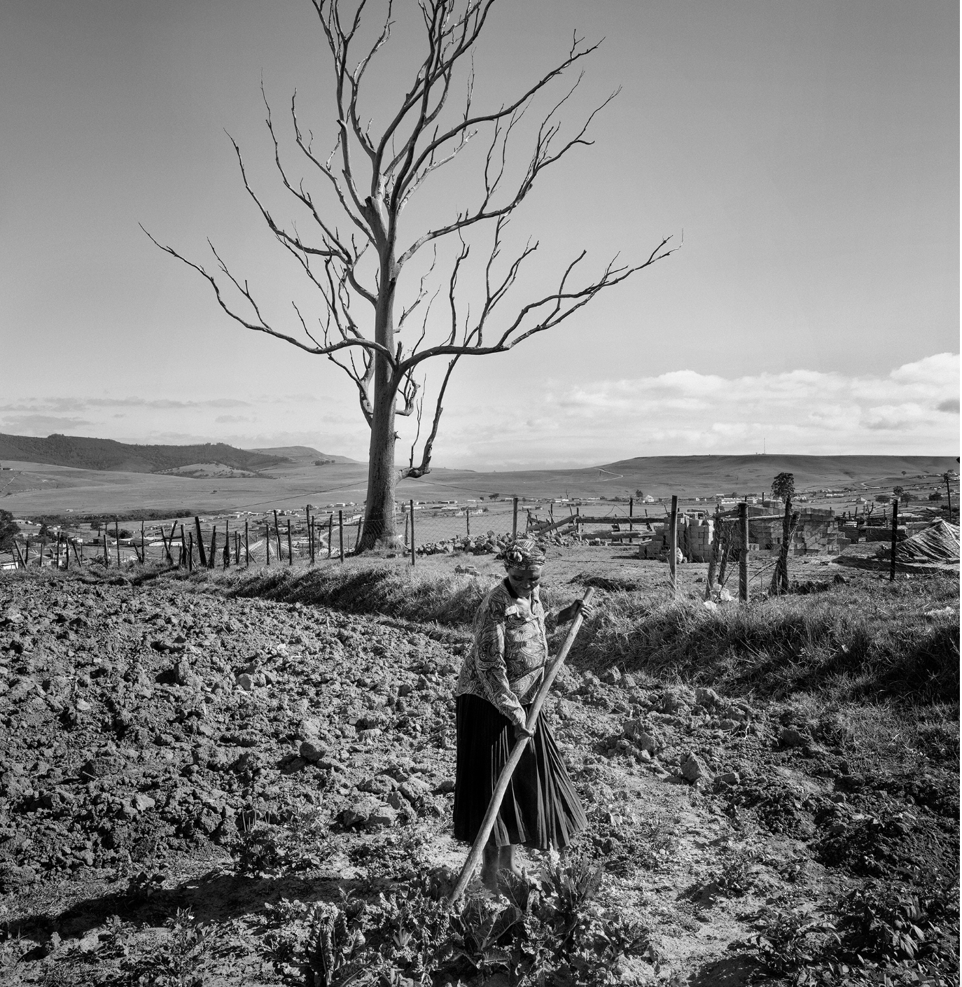 A woman working in a field with a large, leafless tree in the background, surrounded by a rural landscape with hills and a fence.