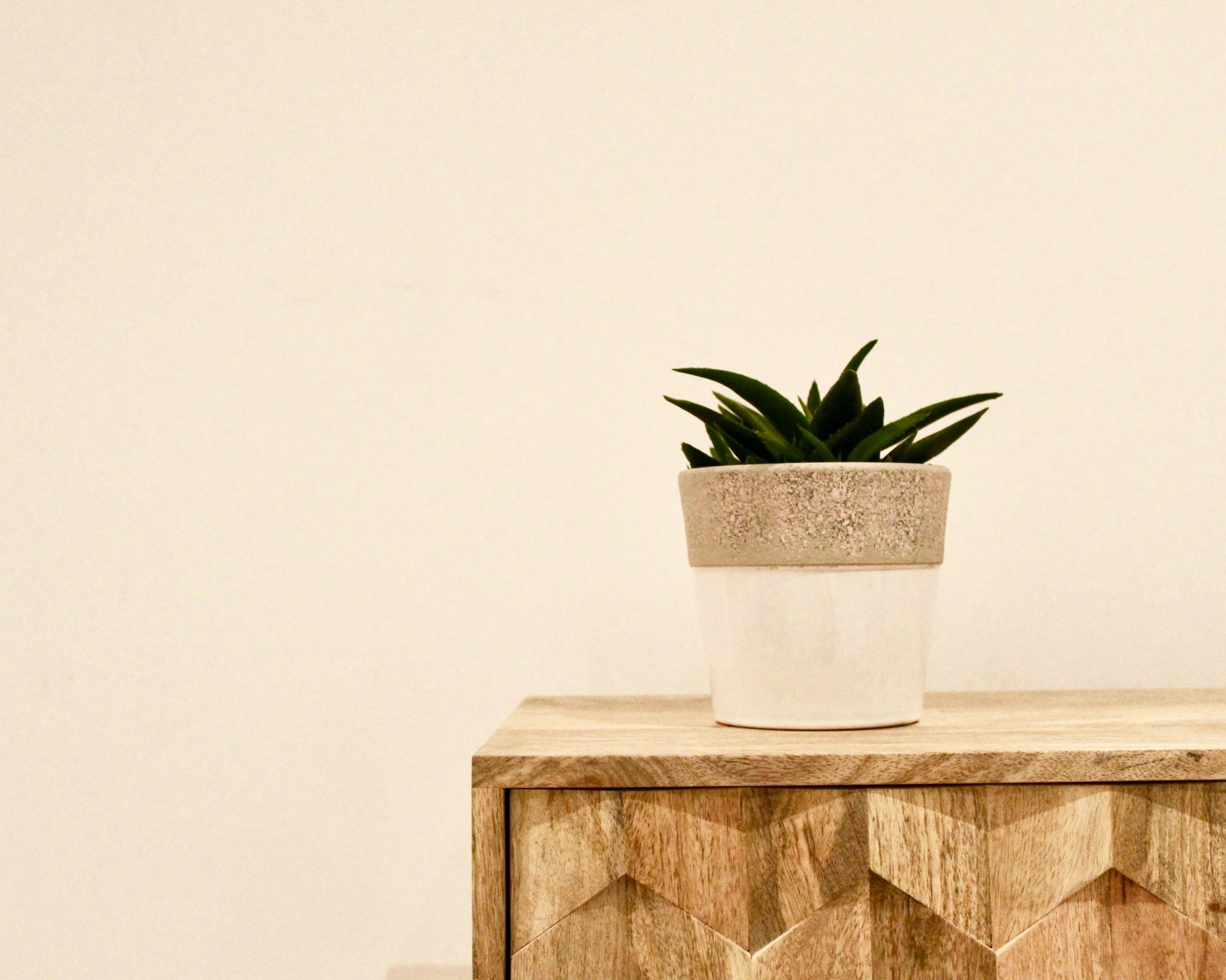Minimalist home detail with potted plant on wooden cabinet, reflecting calm and order.