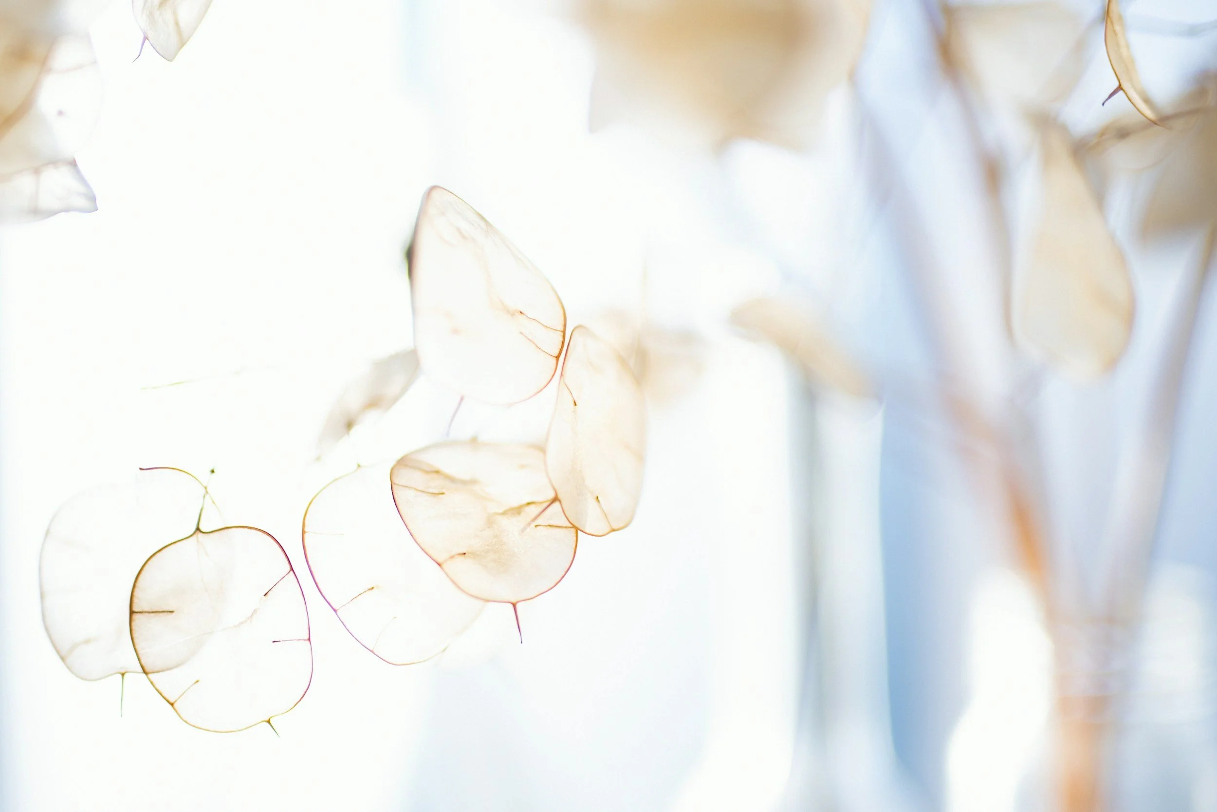 Soft neutral abstract background detail used for visual texture on the Calm & Order website.