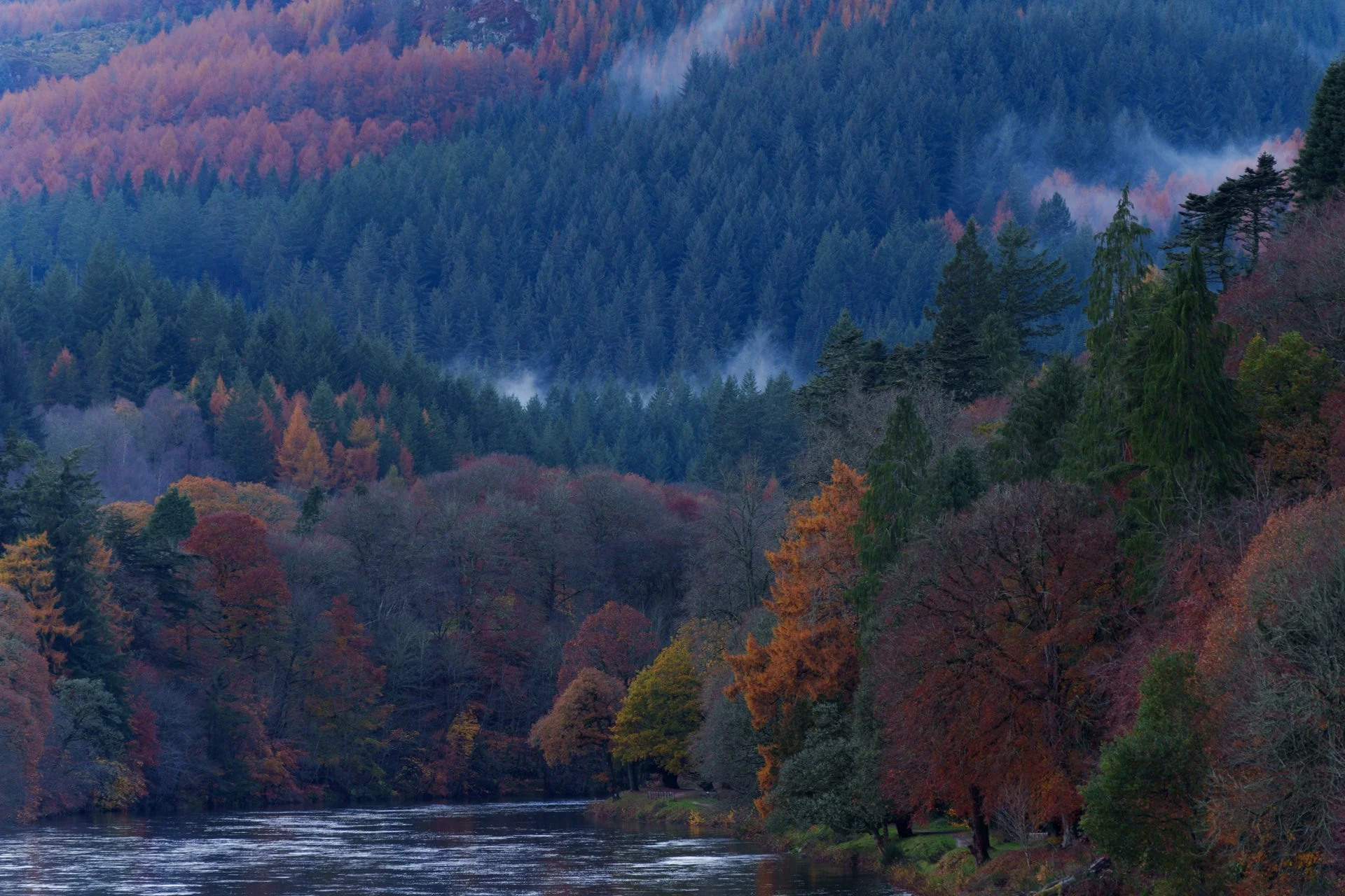 20251110 - _DSC9608Yvonne Jevons.jpg