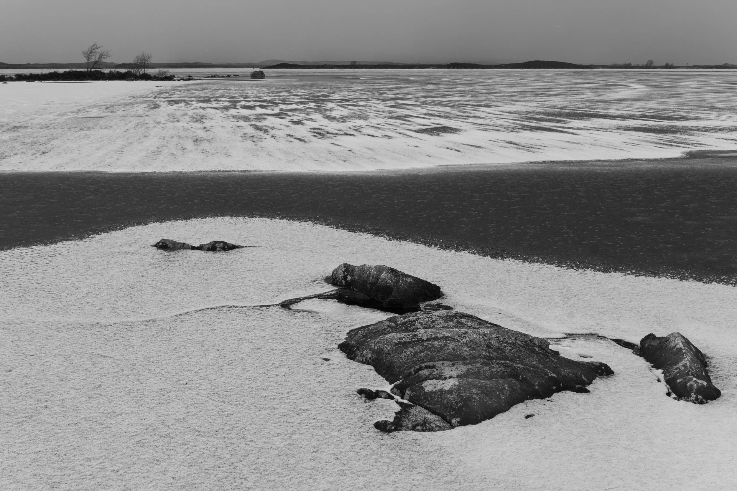 20260101 - _DSC9892Yvonne Jevons.jpg