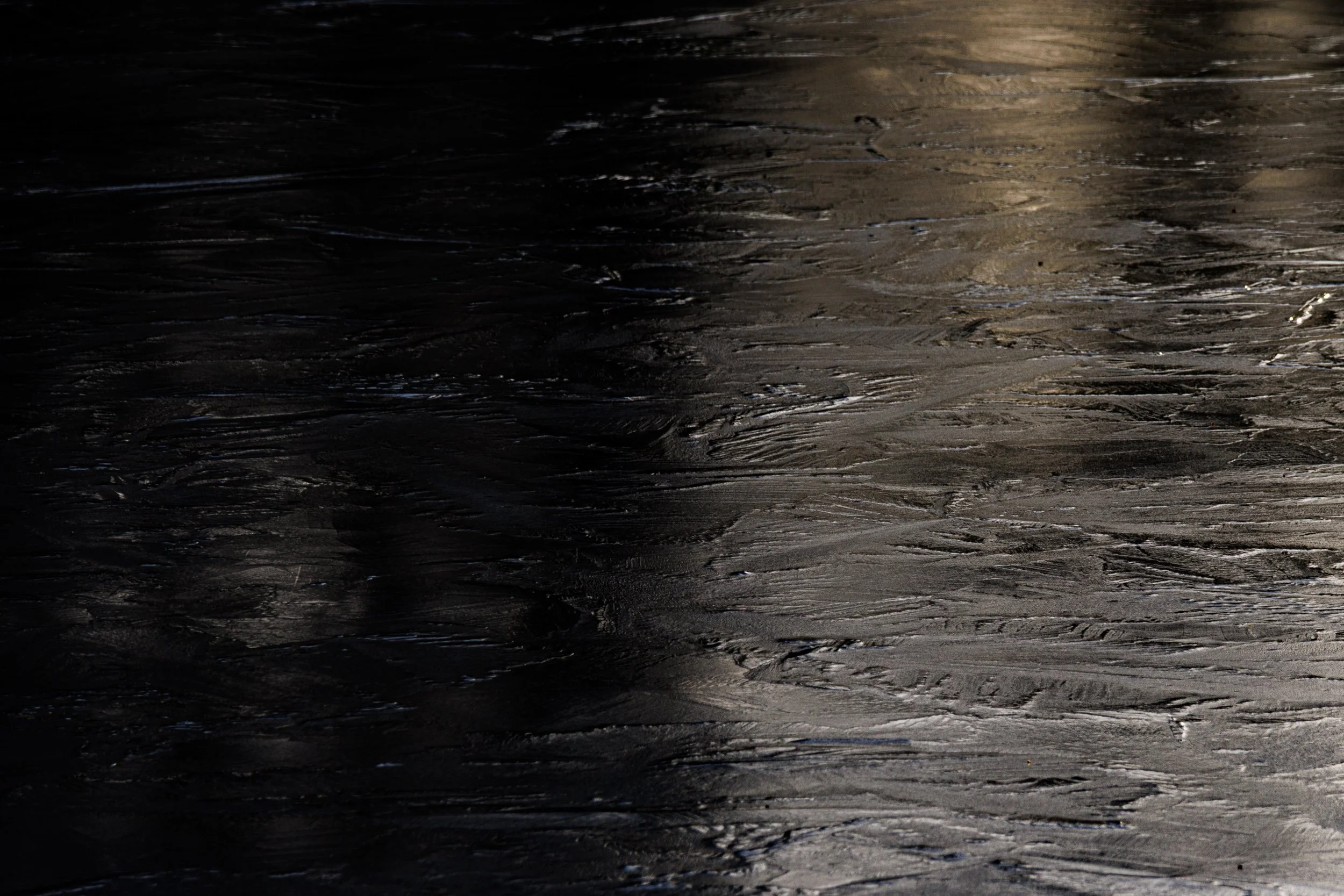 20250109 - 0M1A0696Yvonne Jevons.jpg