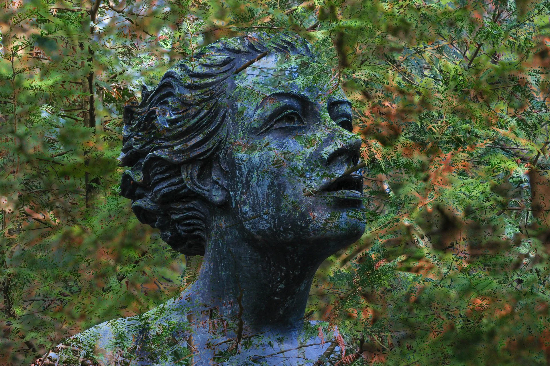 20251128 - DSCF2994Yvonne Jevons-2.jpg