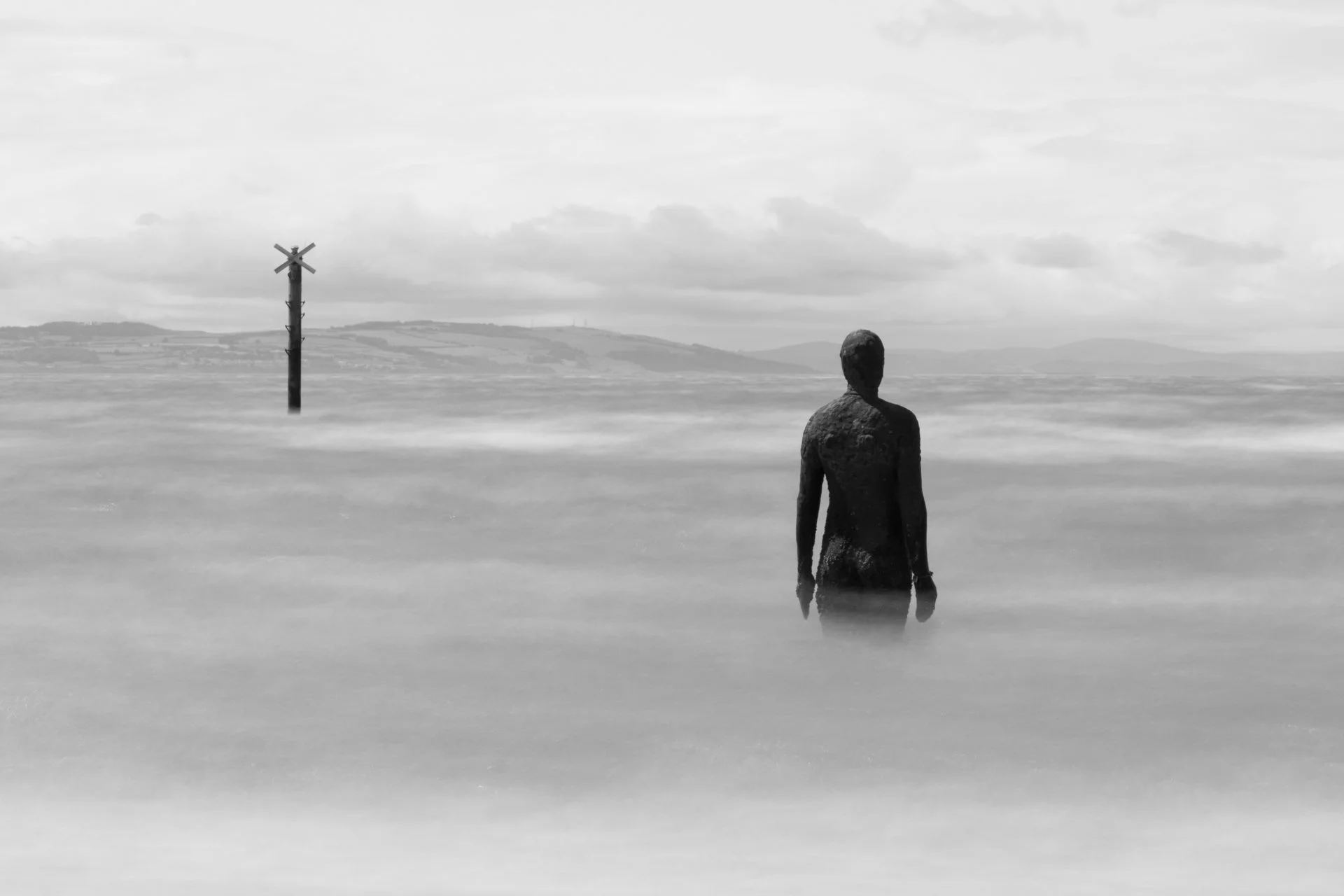 20250614 - 0M1A4944Yvonne Jevons-2.jpg