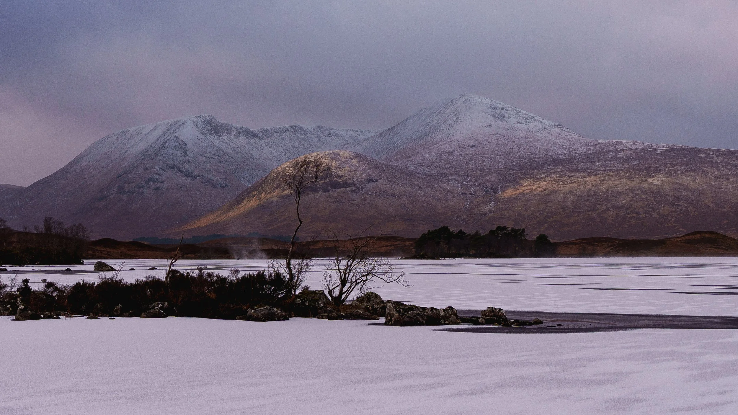 20260101 - _DSC9956Yvonne Jevons.jpg