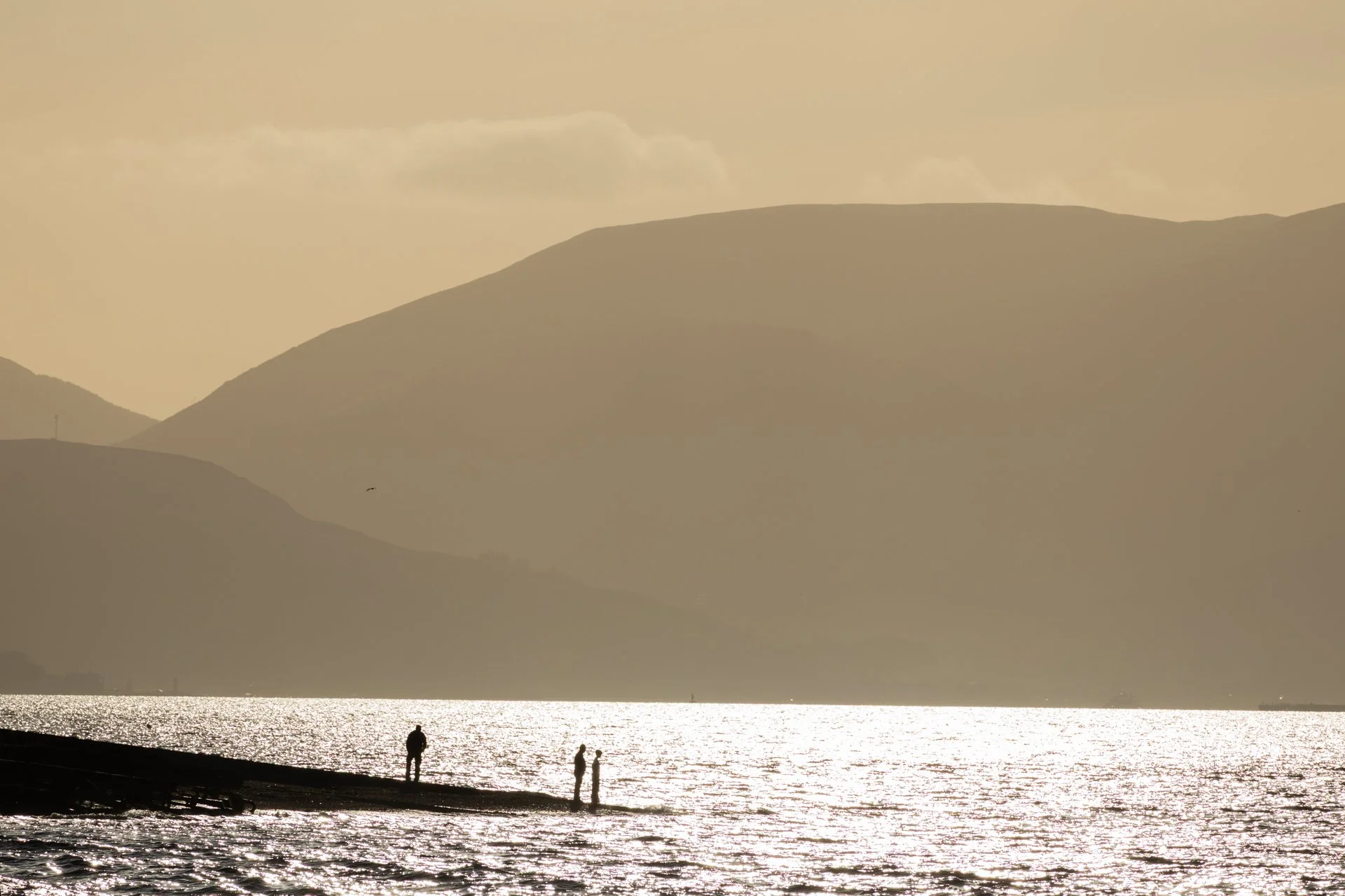 20240730 - KI0A0981Yvonne Jevons.jpg