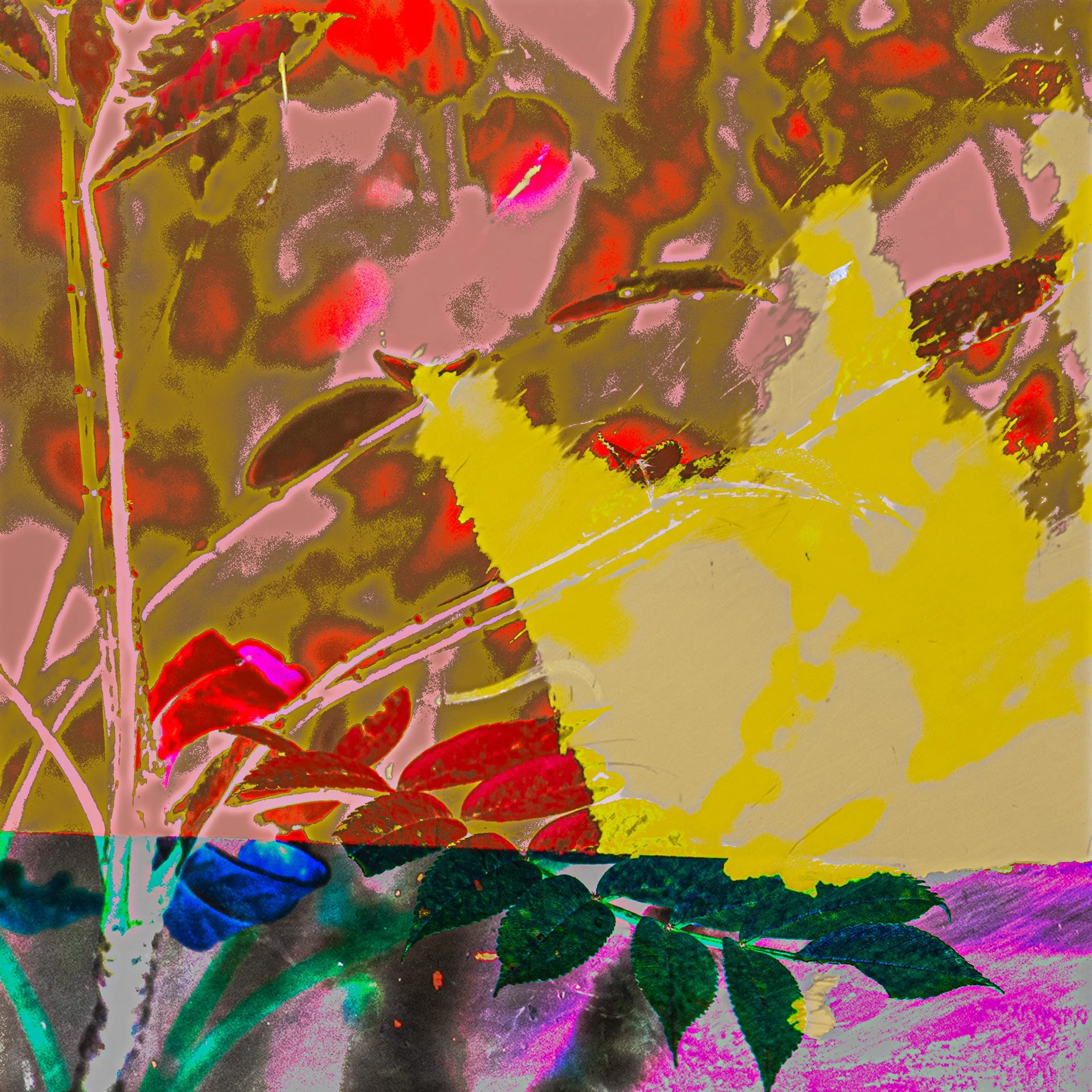 Yvonne - 8S1A3284-Edit.jpg