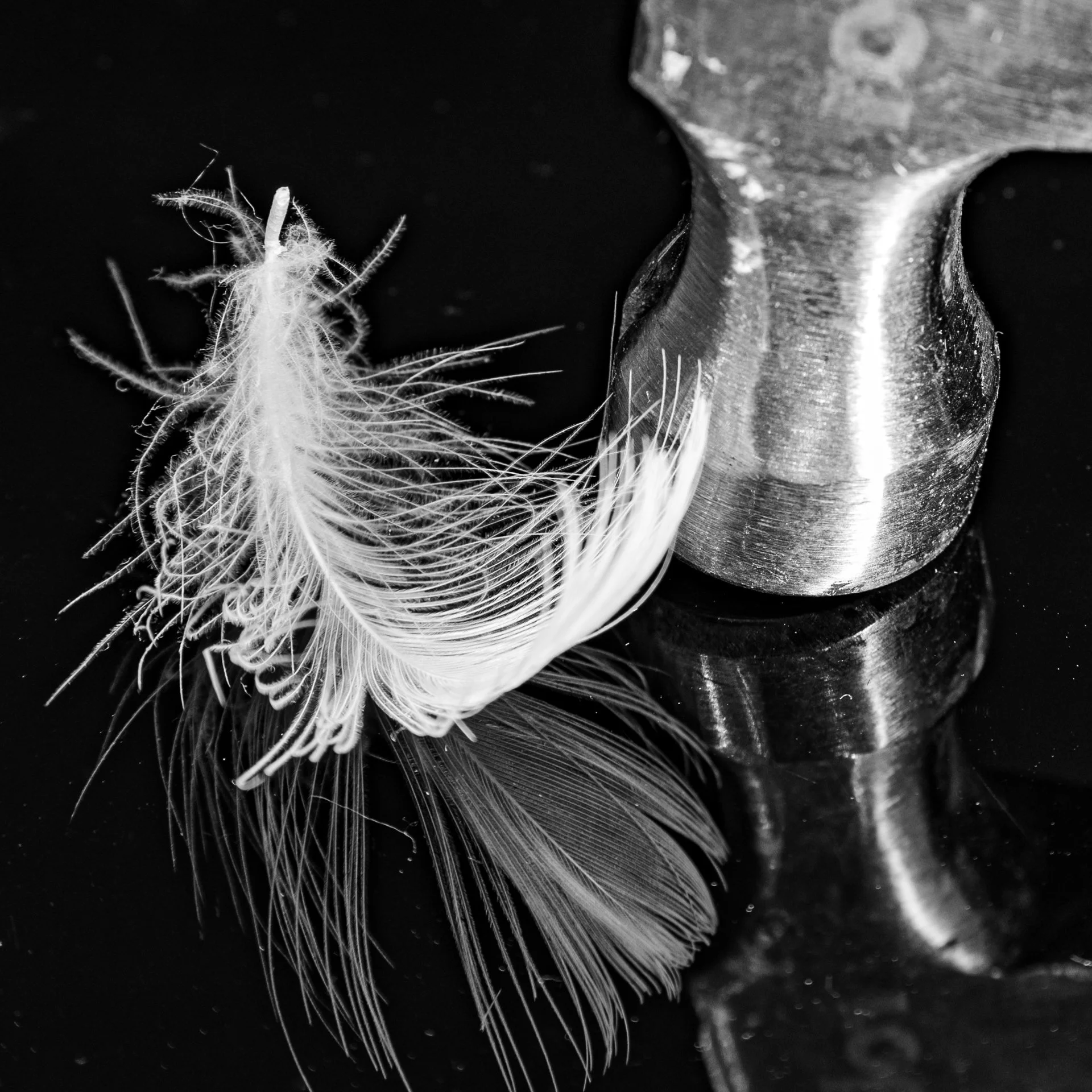 20241207 - KI0A1125Yvonne Jevons.jpg