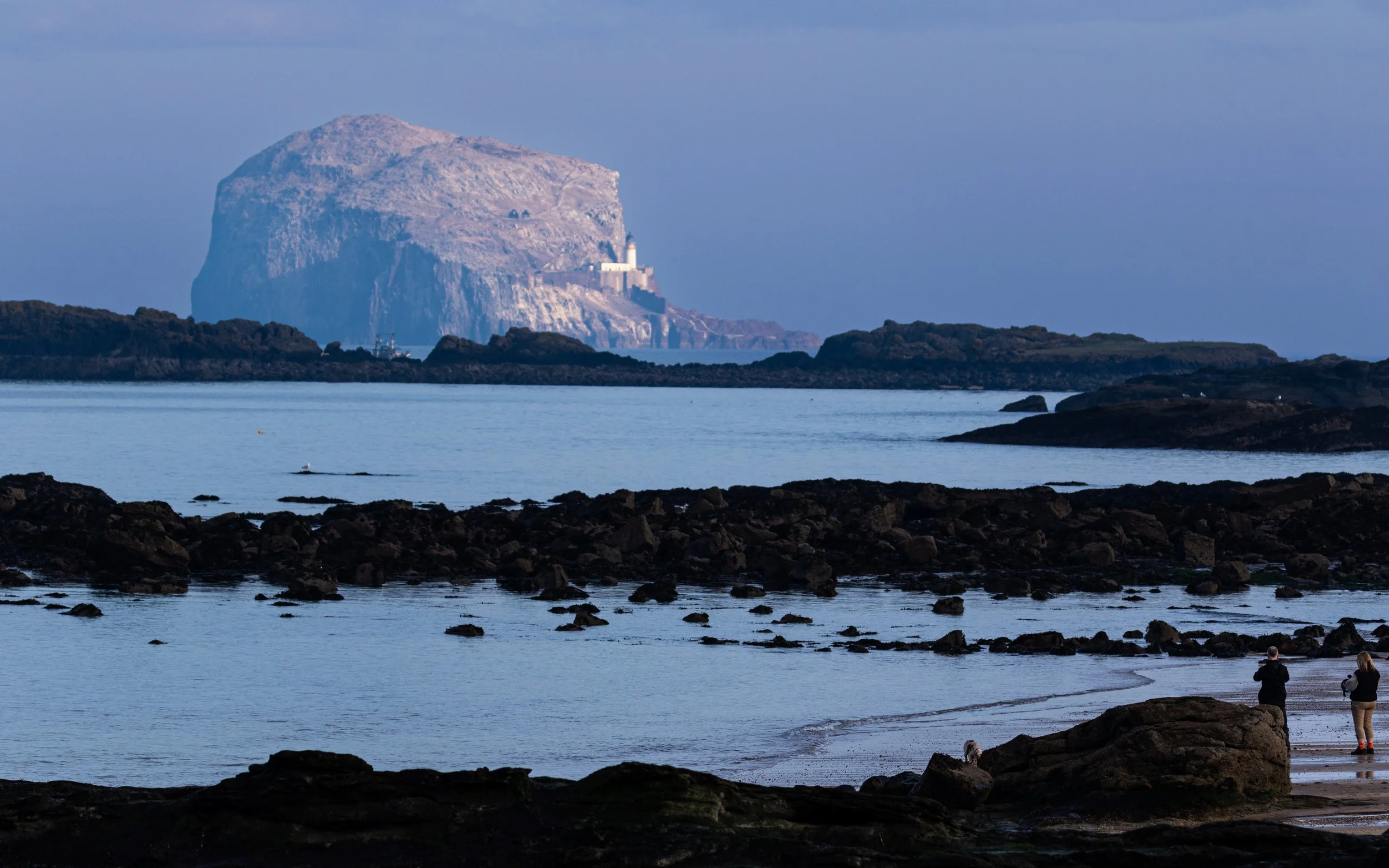 Bass Rock.jpg