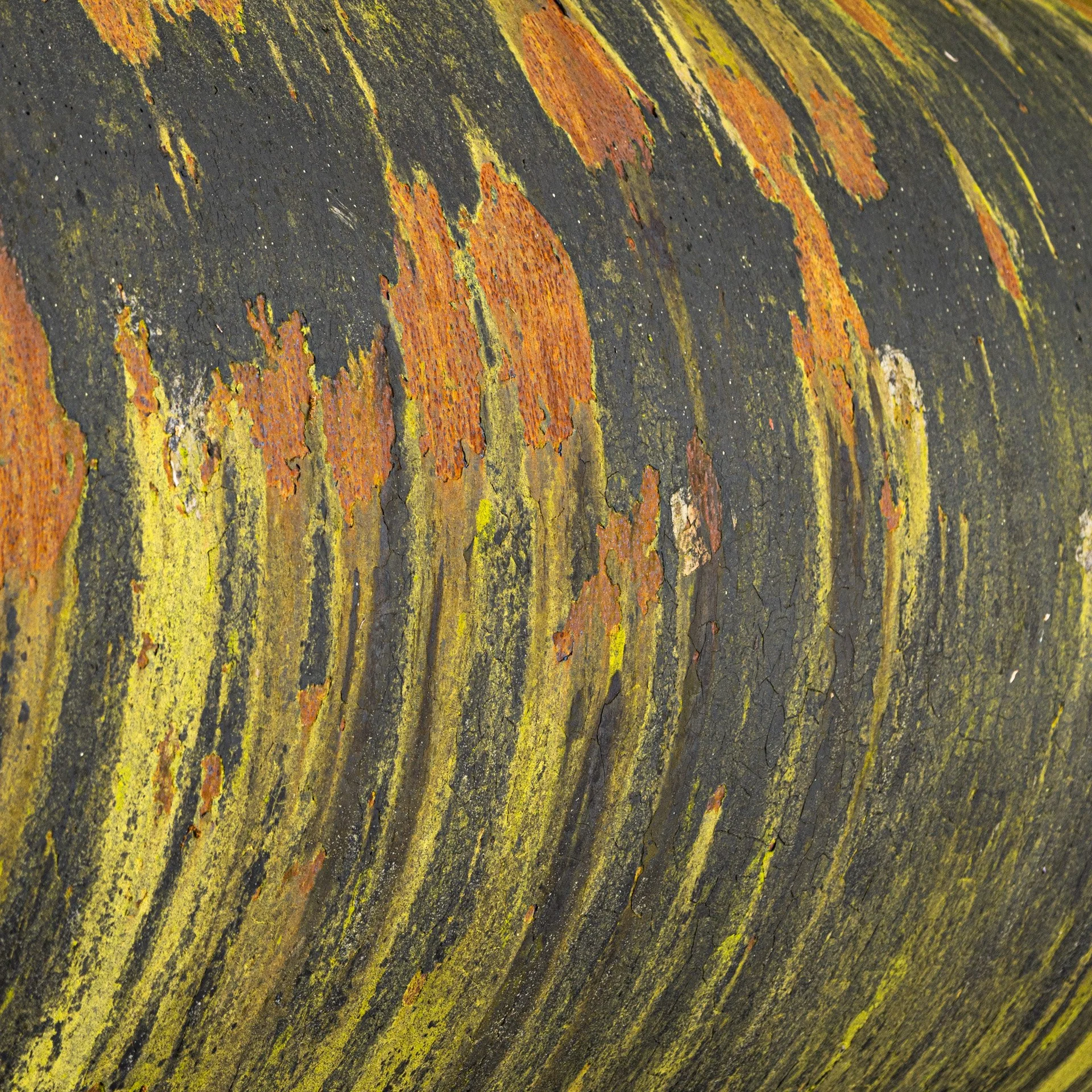 20240523 - KI0A7296Yvonne Jevons.jpg