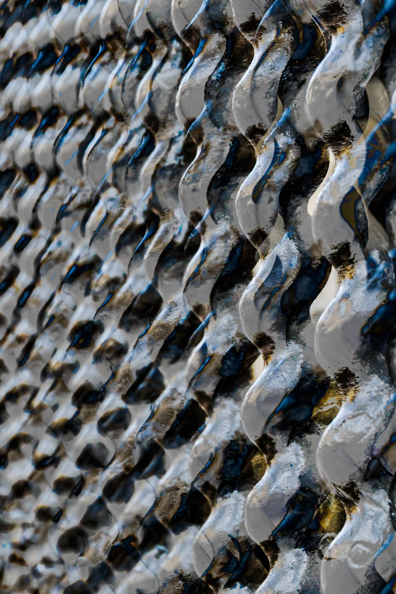 20250810 - DSCF0840Yvonne Jevons-Edit.jpg