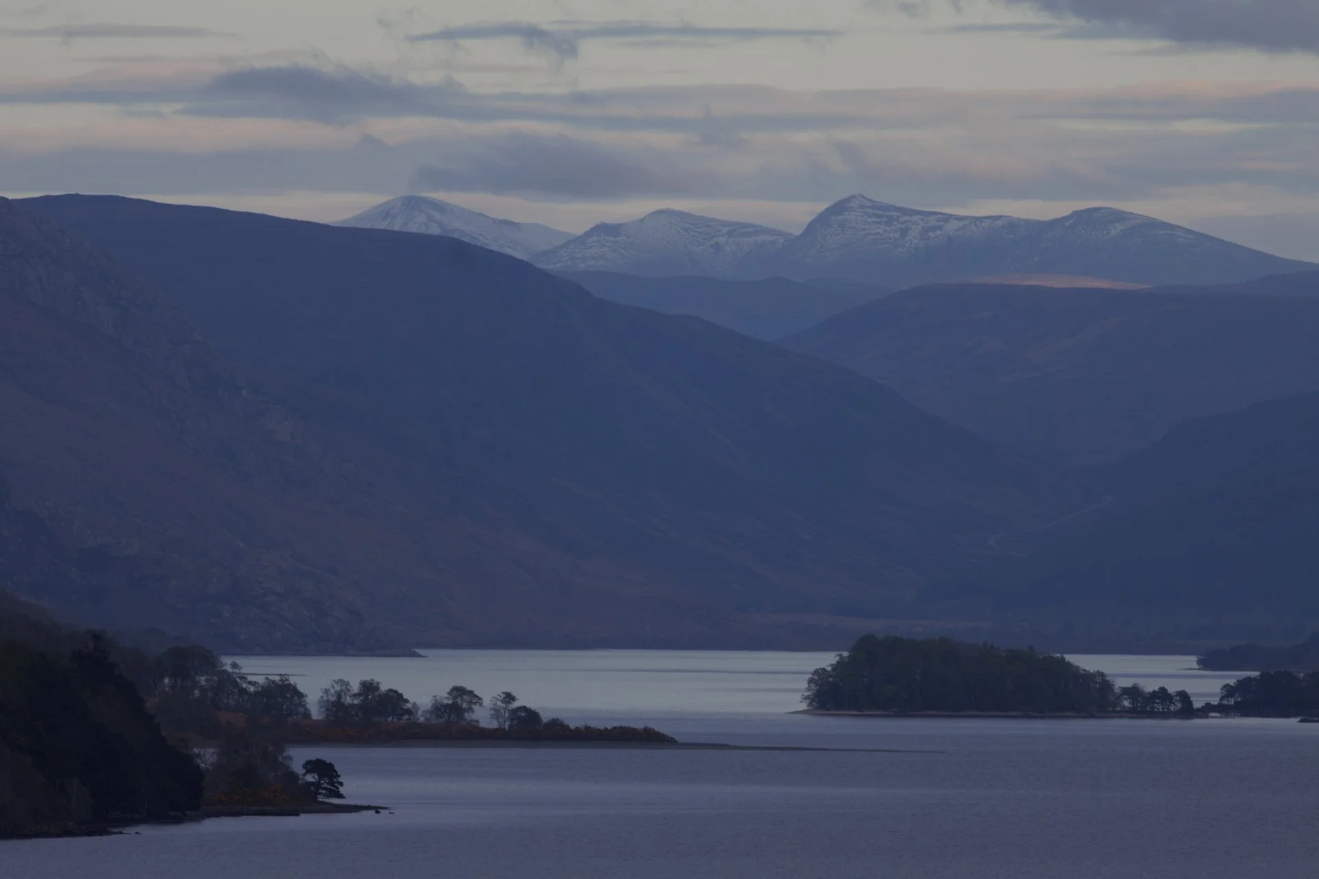 20250420 - 0M1A2326Yvonne Jevons.jpg