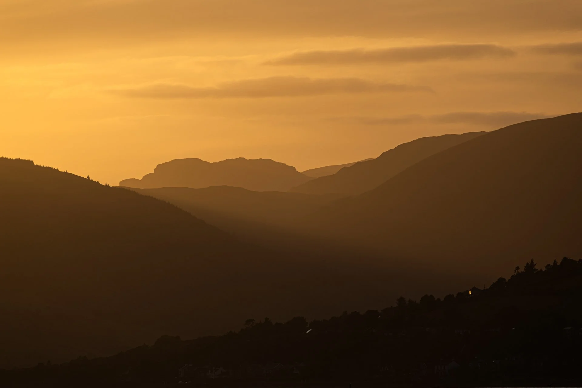 20240730 - KI0A1035Yvonne Jevons.jpg