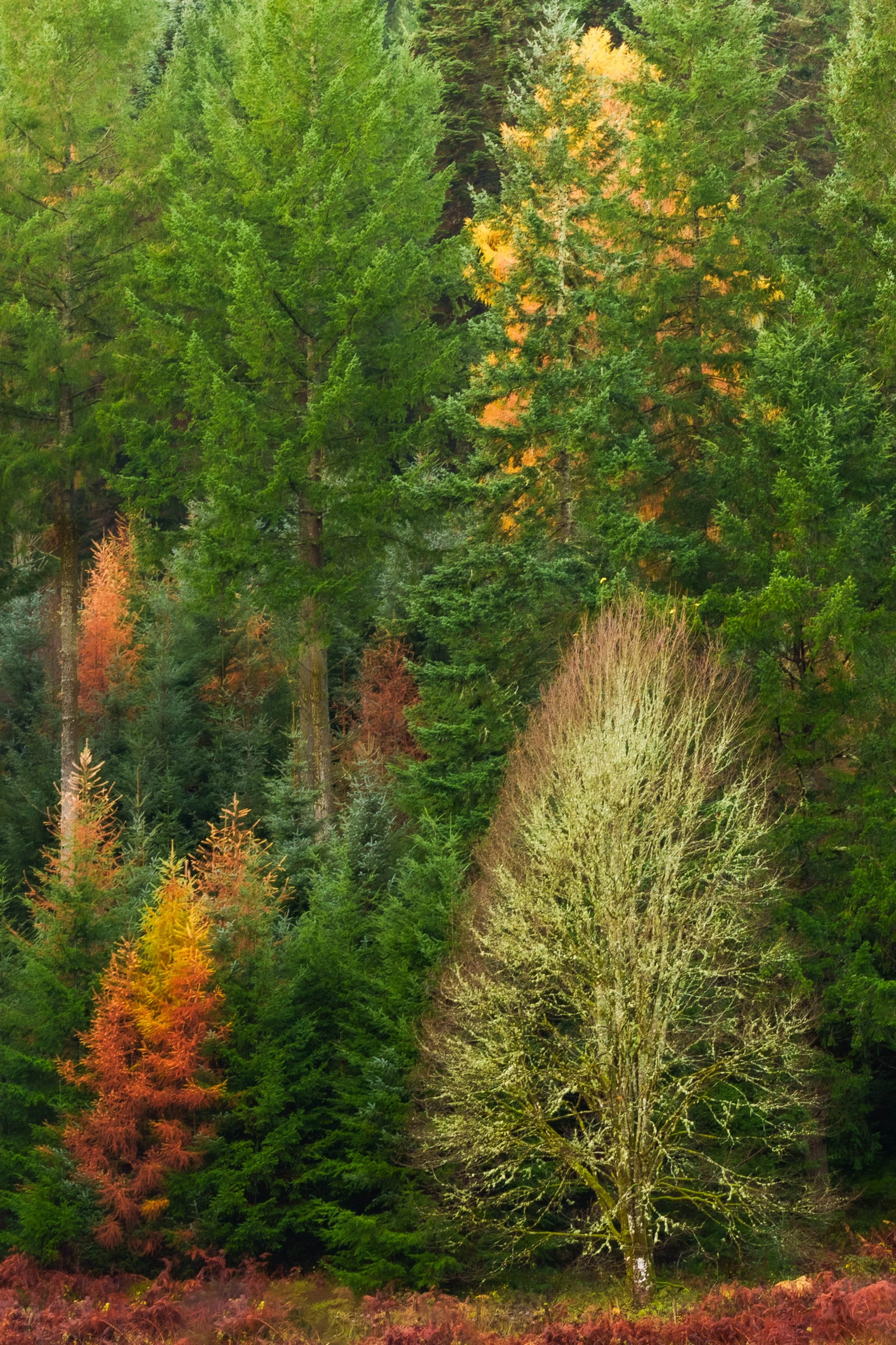 20251110 - _DSC9470Yvonne Jevons-Edit.jpg