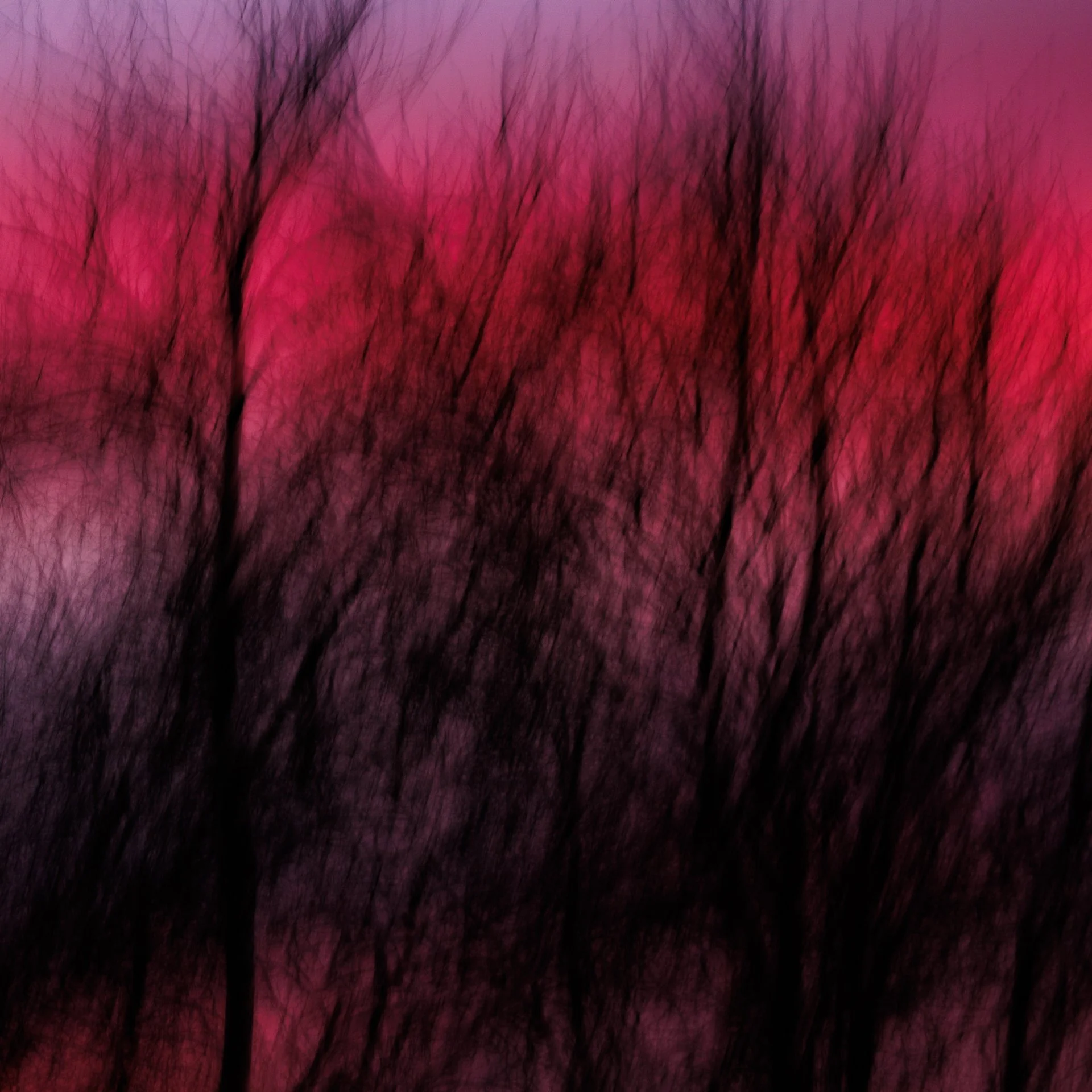 20250114 - KI0A1245YJ winter sunset fire.jpg