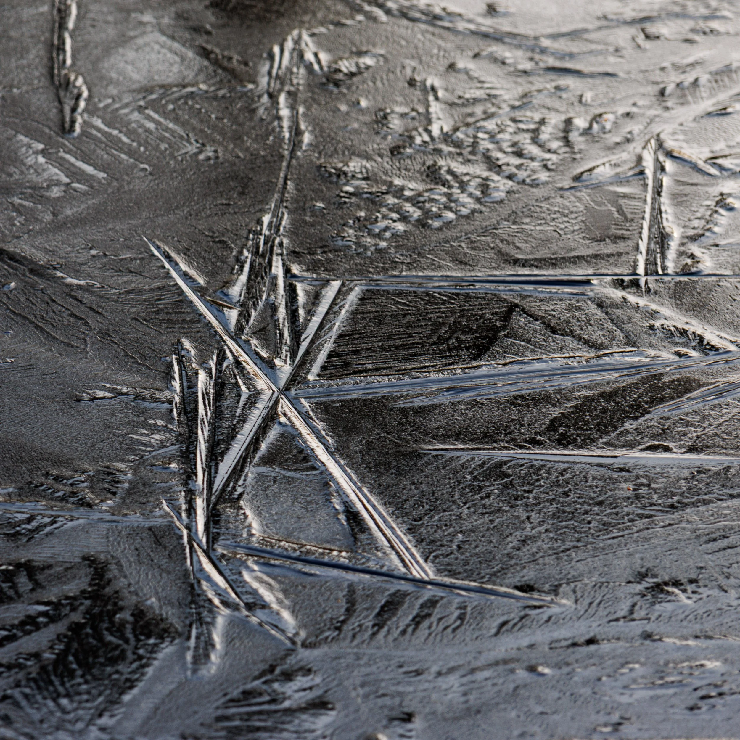 20250109 - 0M1A0701Yvonne Jevons.jpg