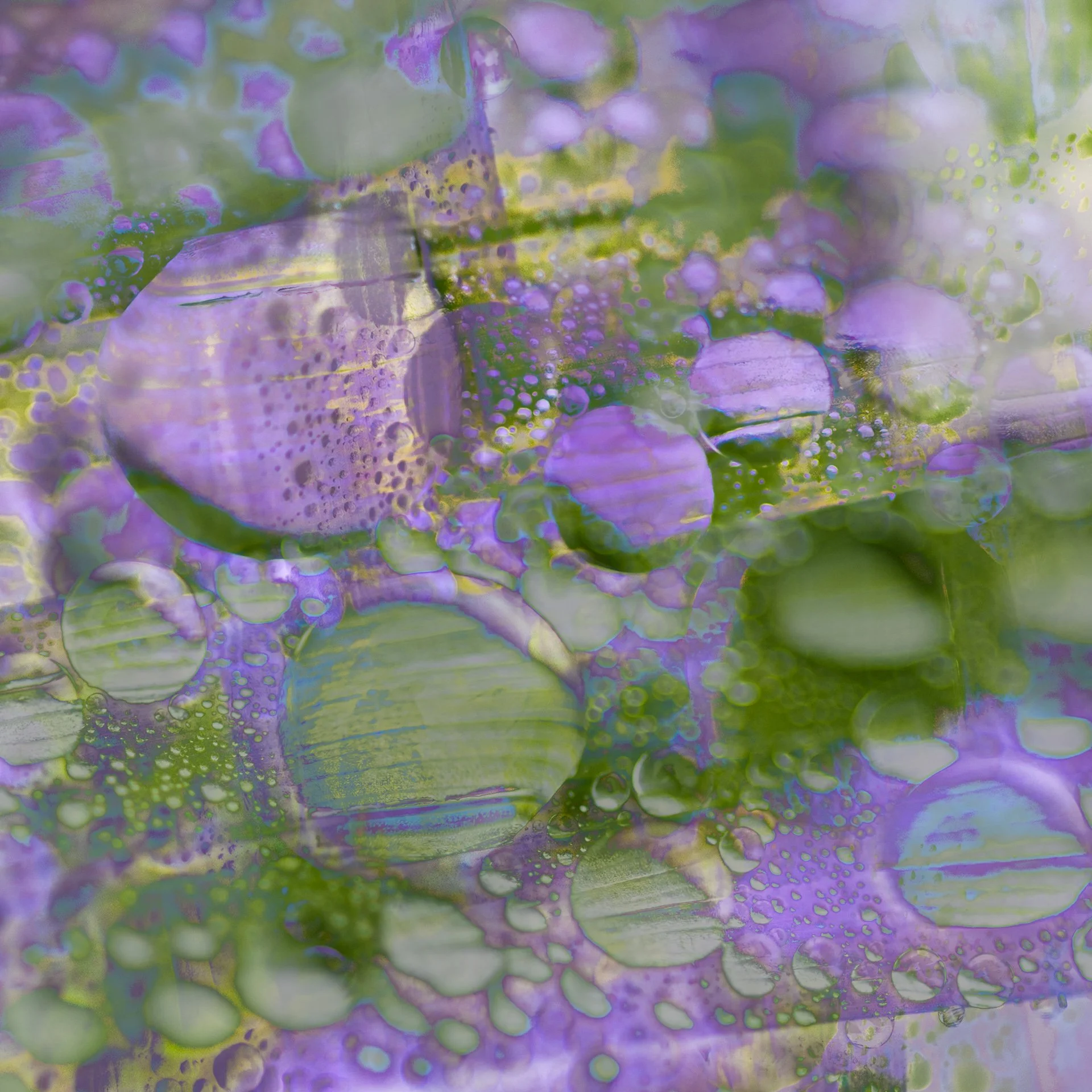 20240722 - KI0A9979Yvonne Jevons-Edit.jpg