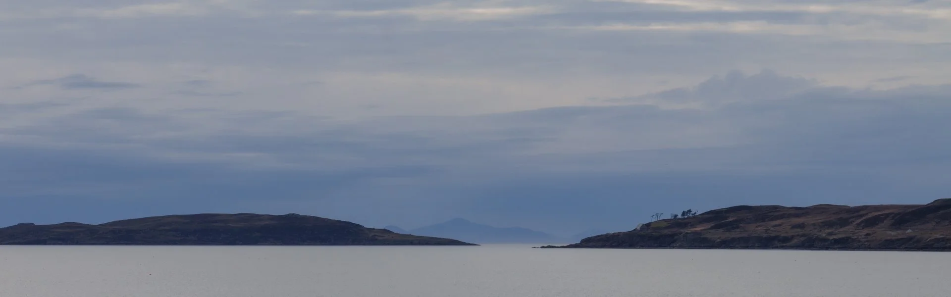 20250420 - 0M1A2307Yvonne Jevons.jpg