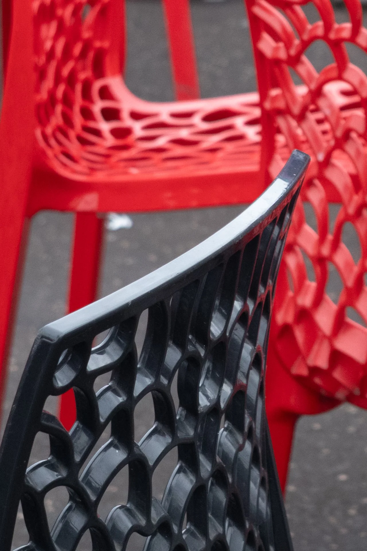 07 - 20240804 - IMG_1572Yvonne Jevons.jpg