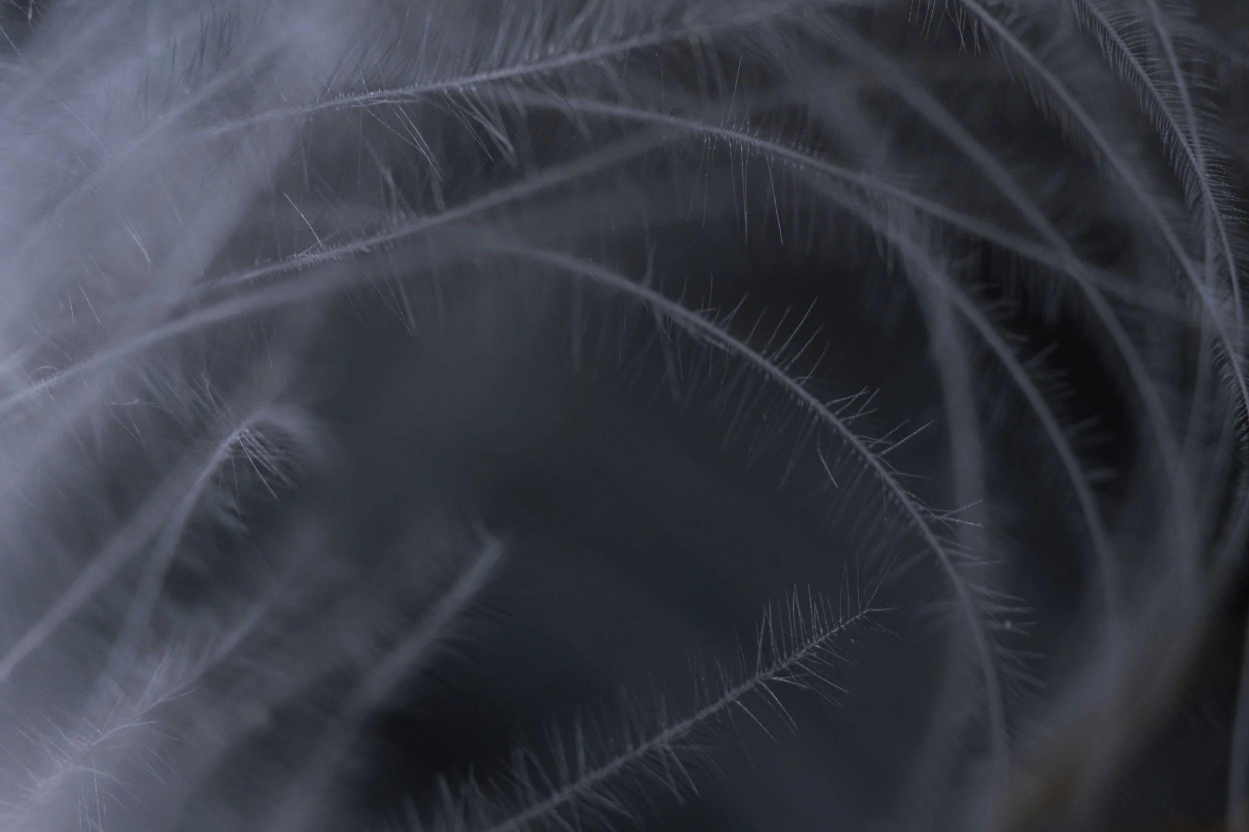 20260113 - DSCF3640Yvonne Jevons.jpg