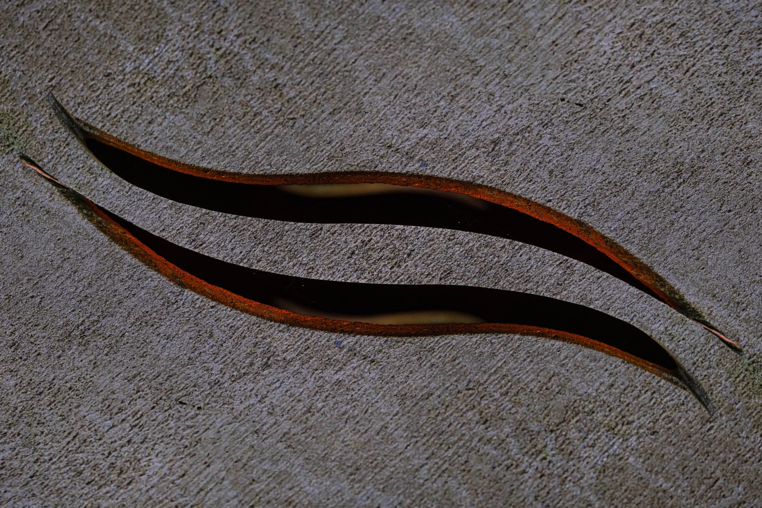 20251128 - DSCF2684Yvonne Jevons-Edit.jpg