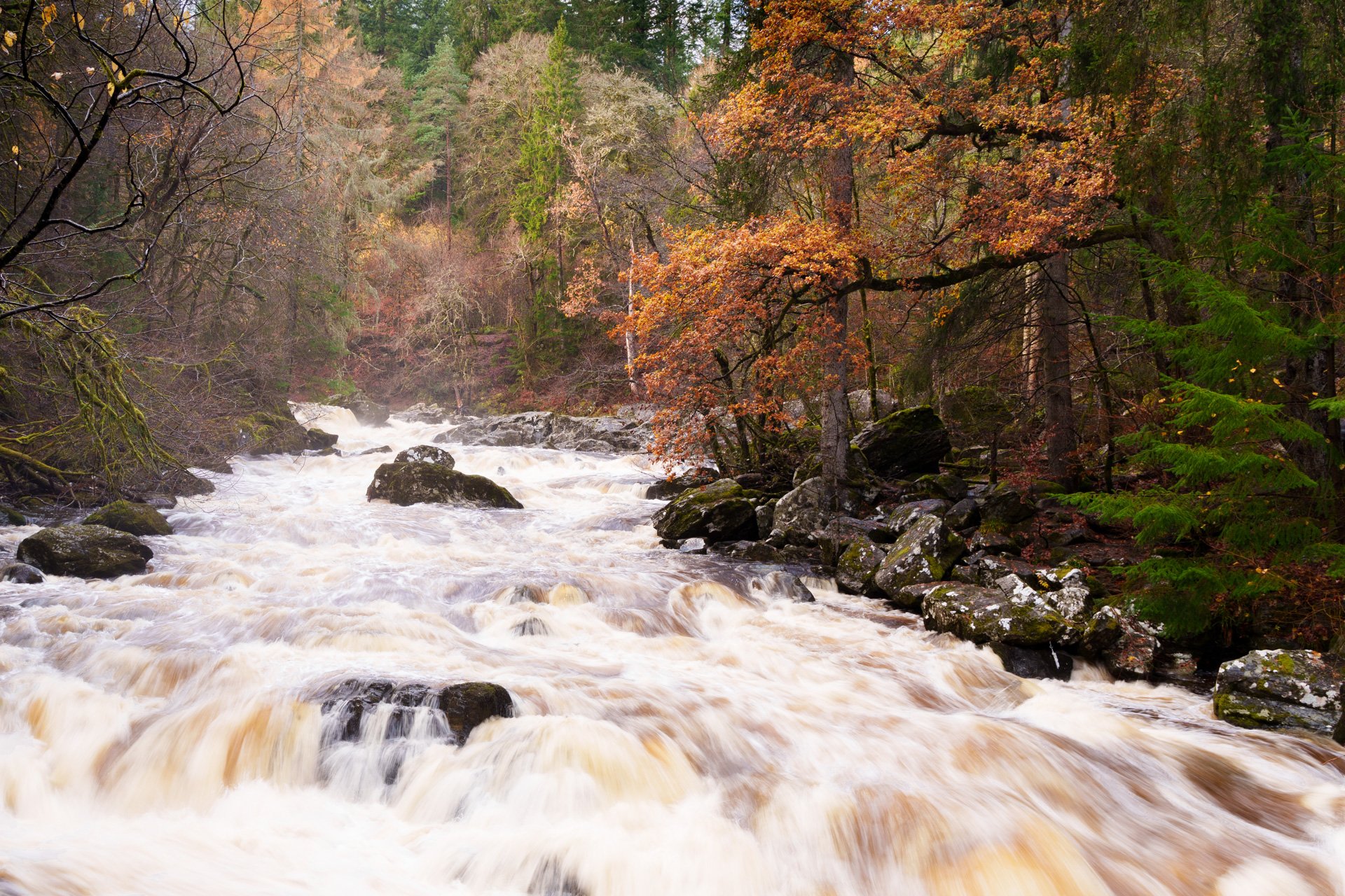 20251110 - _DSC9533Yvonne Jevons.jpg