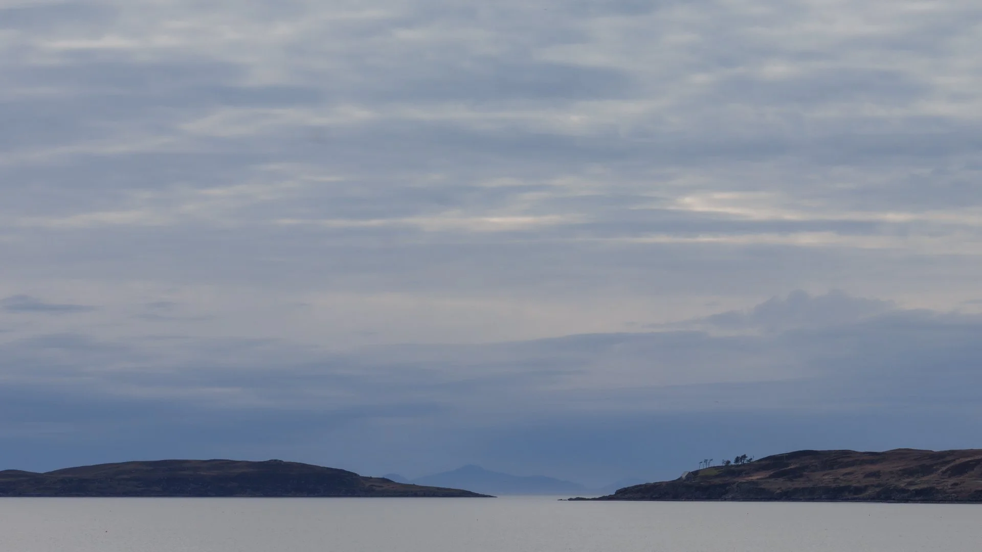 20250420 - 0M1A2307Yvonne Jevons.jpg