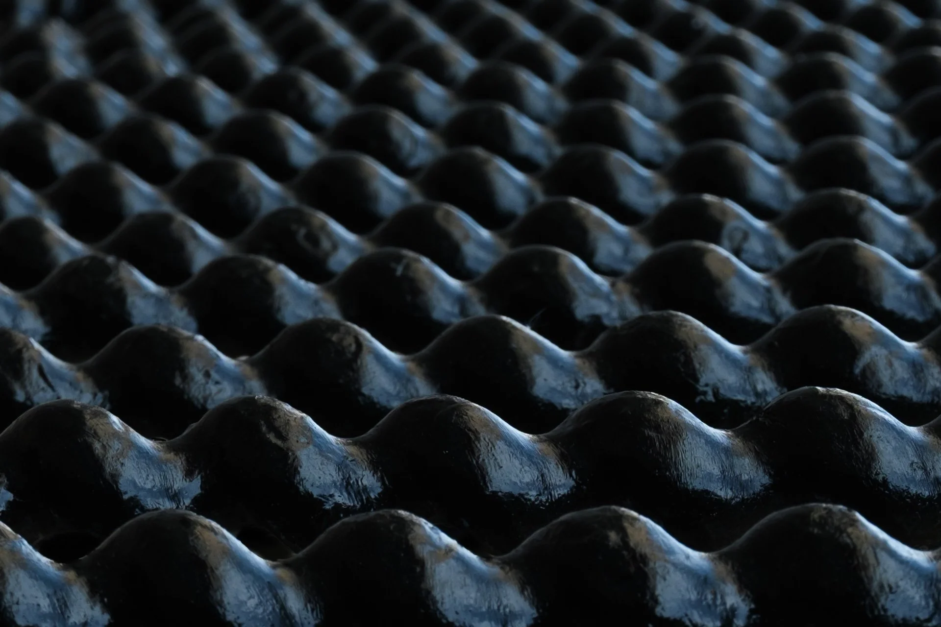 20250810 - DSCF0841Yvonne Jevons.jpg