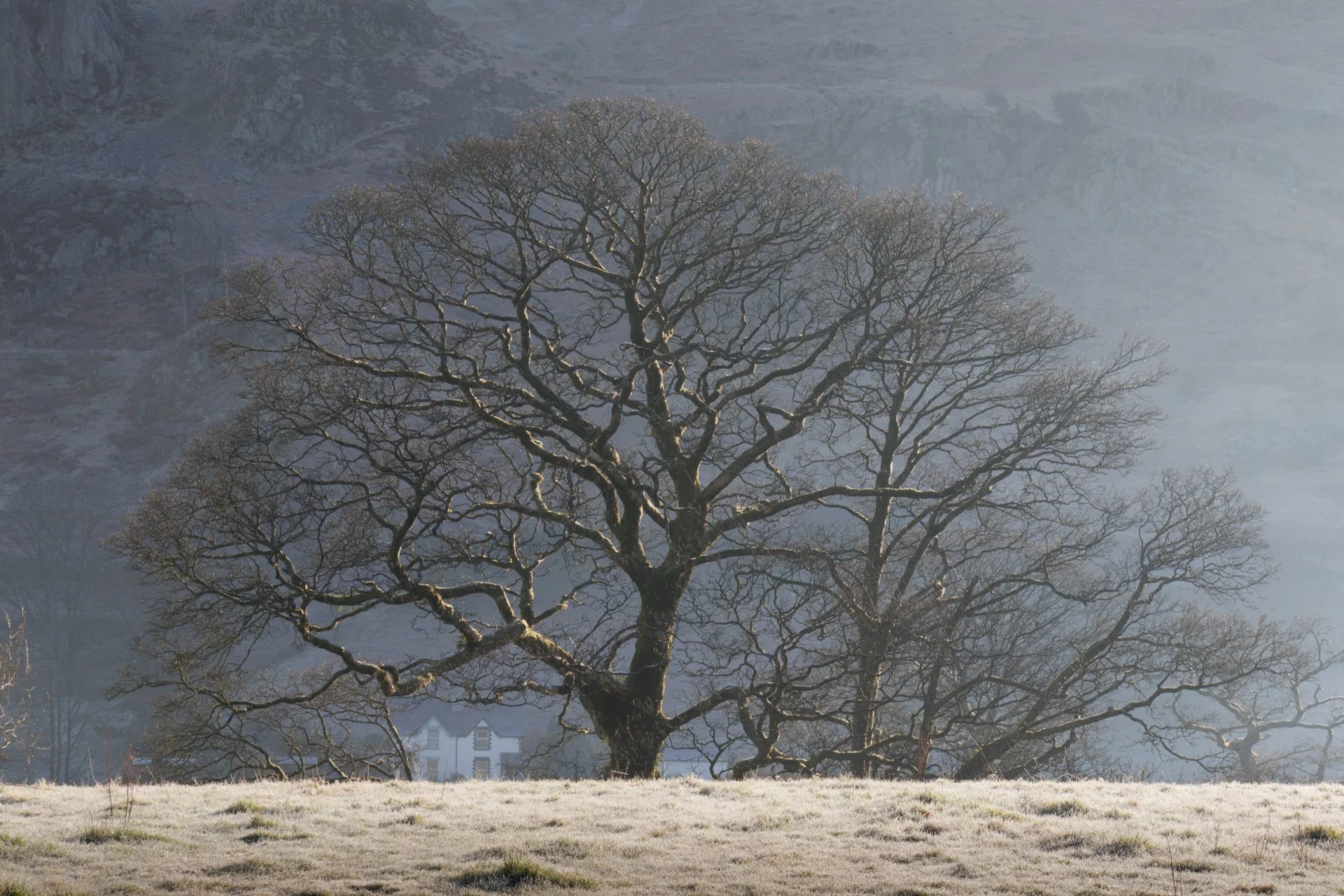 20250315 - 0M1A1524Yvonne Jevons.jpg