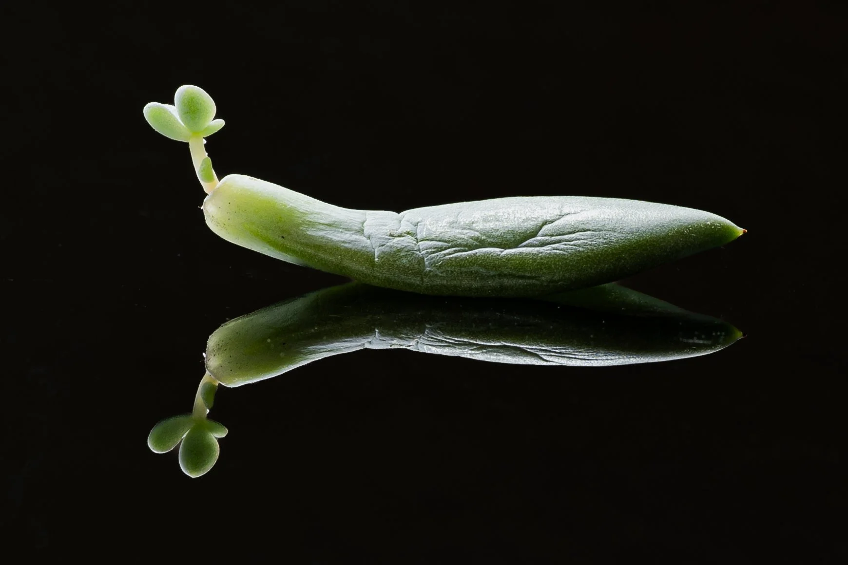 20240616 - KI0A8881Yvonne Jevons.jpg