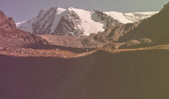 Project Based Consulting