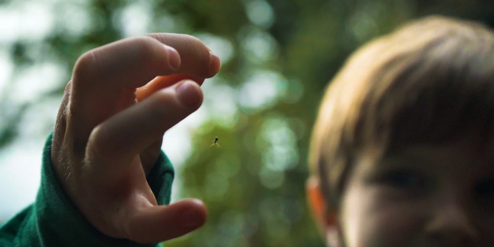 The Land Here Holds Such Weight.00_00_29_15.Still010.jpg