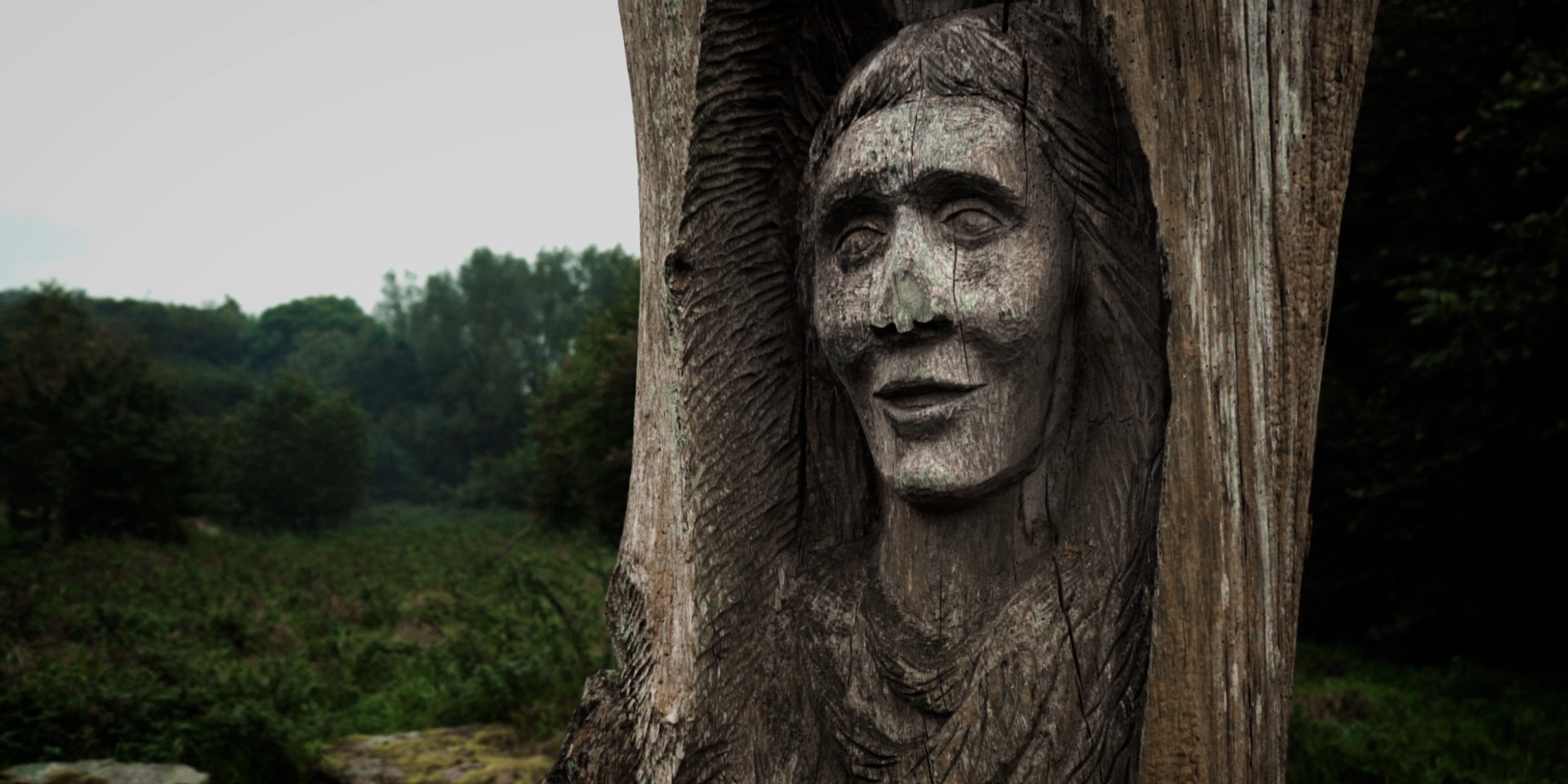 The Land Here Holds Such Weight.00_00_24_08.Still009.jpg