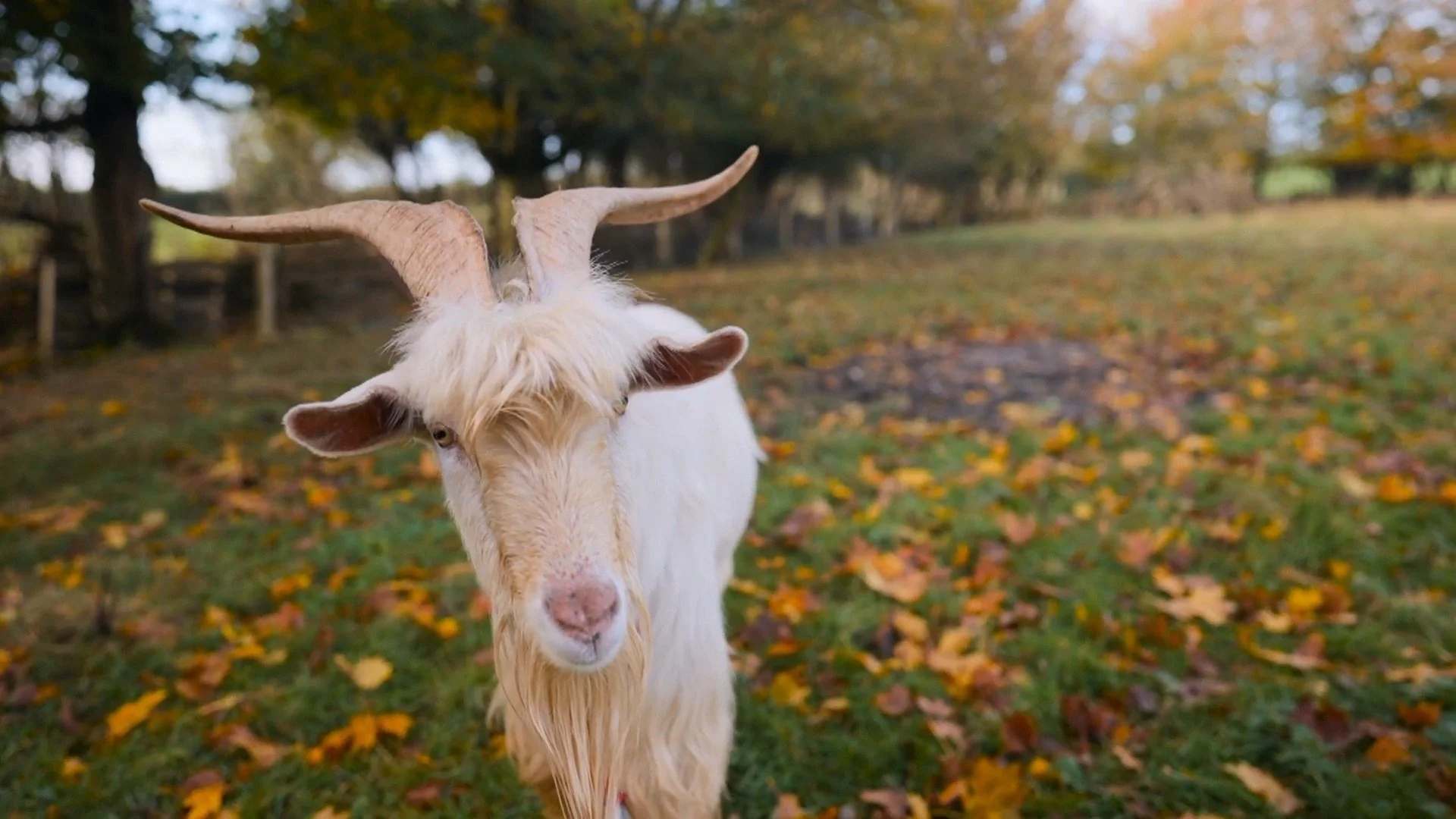 Screenshot (22).jpeg