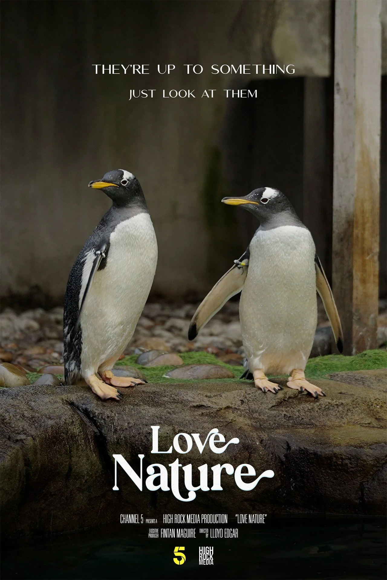 Love Nature Channel 5 Documentary Film Poster
