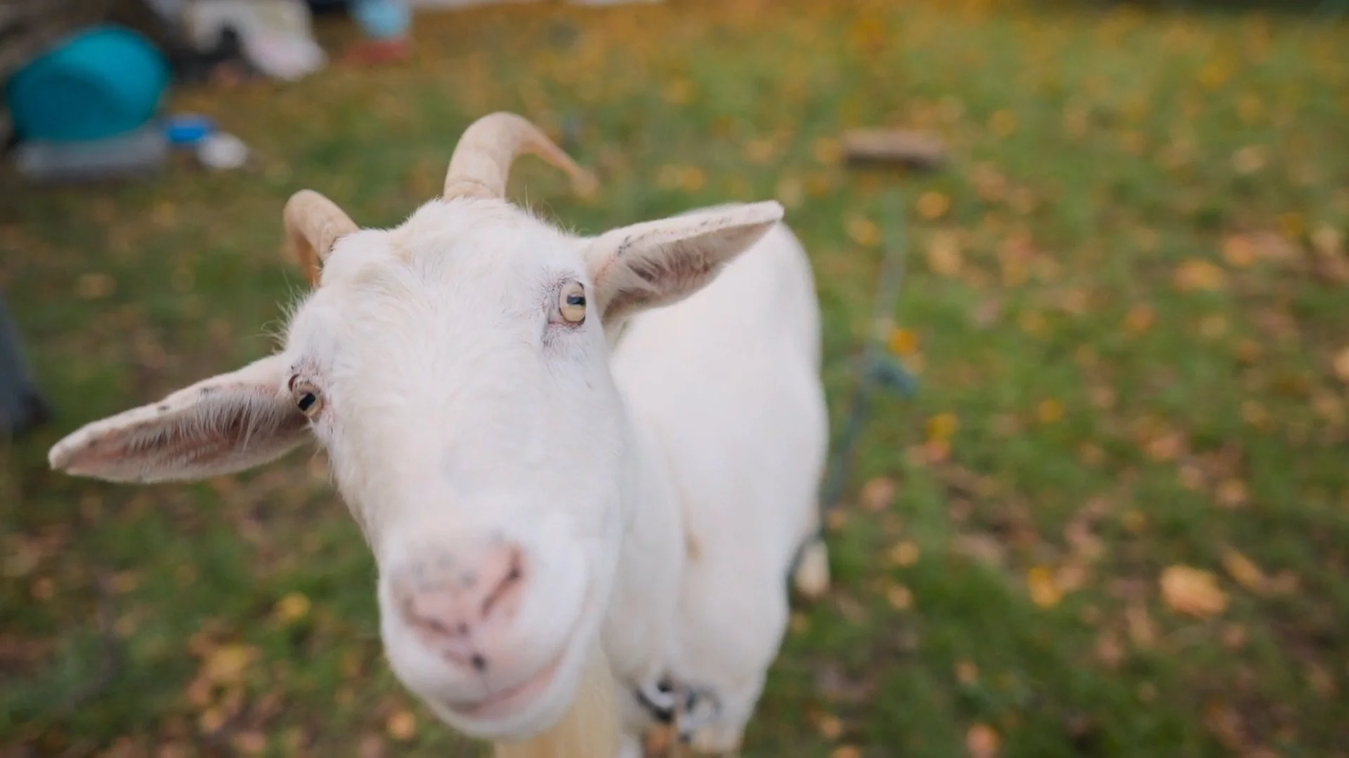 Screenshot (20).jpeg