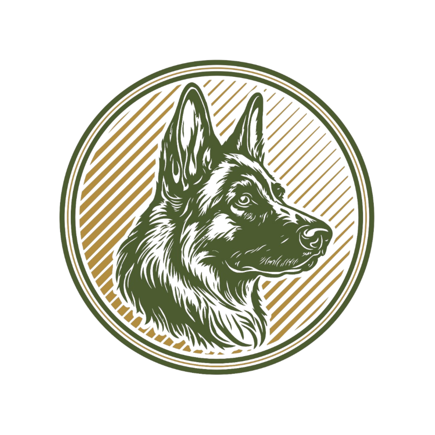 North Yorkshire Dog Walking