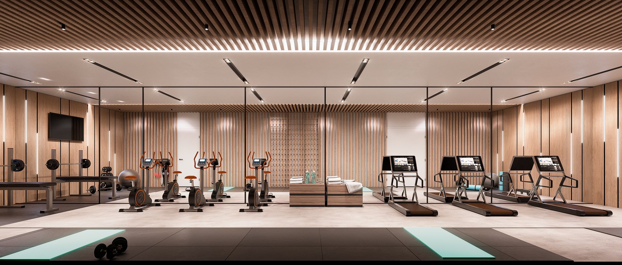 Nikki Living_Flex Living_ GYM B.jpg